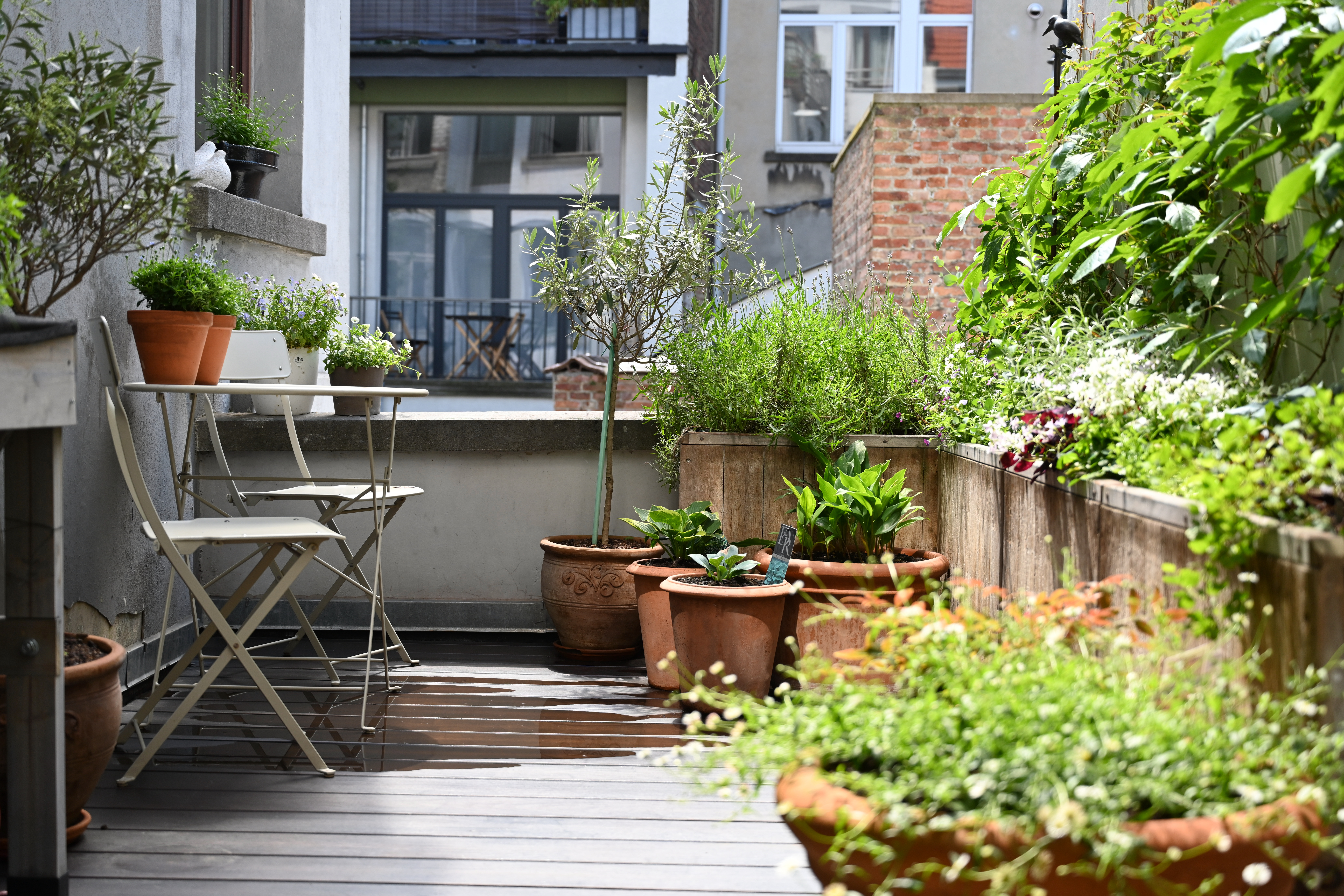 Bright and Charming Apartment with sunny terrace! in Saint-Gilles, Brussels