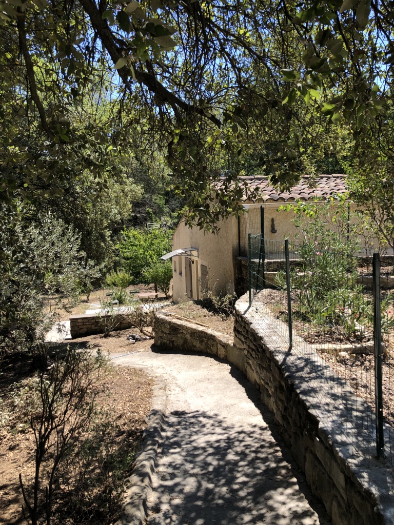 Small nest on the route du Ventoux