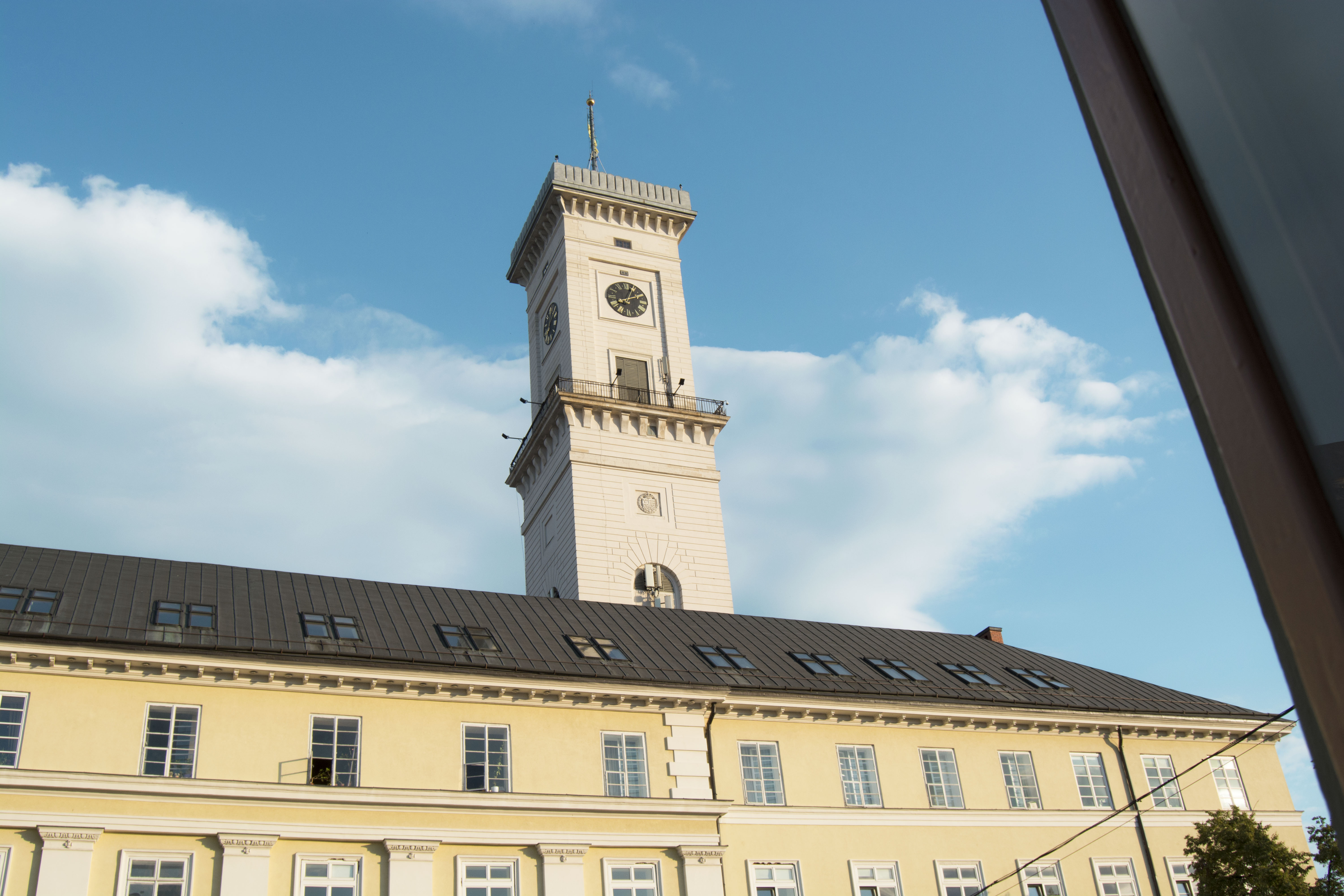 Cozy apartment in the heart of Lviv