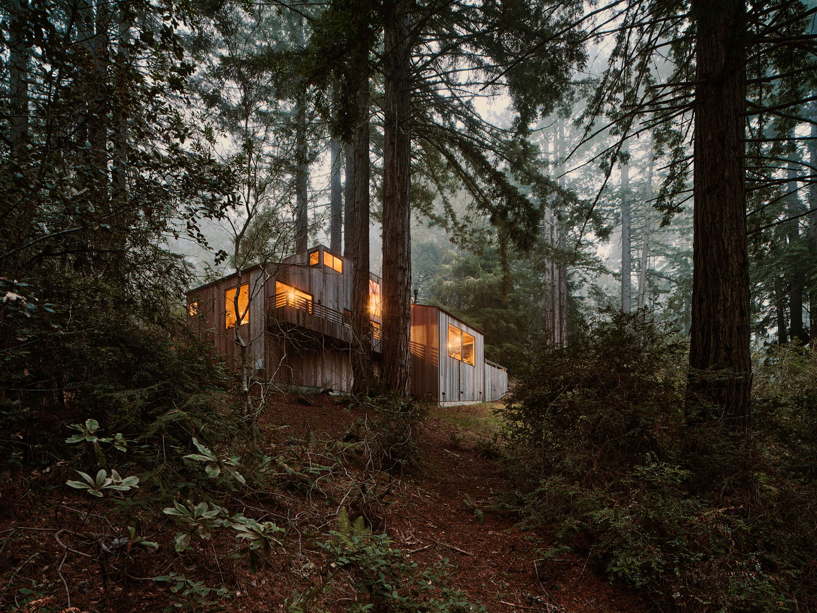 Sea Ranch Forest Retreat with Ocean Views
