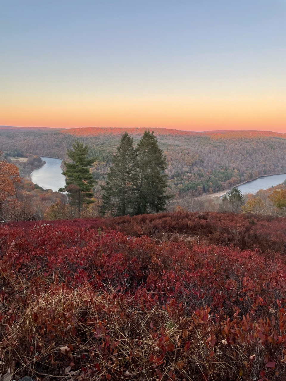 The Masthope View HouseLeafing Season Is Coming! Houses for Rent in