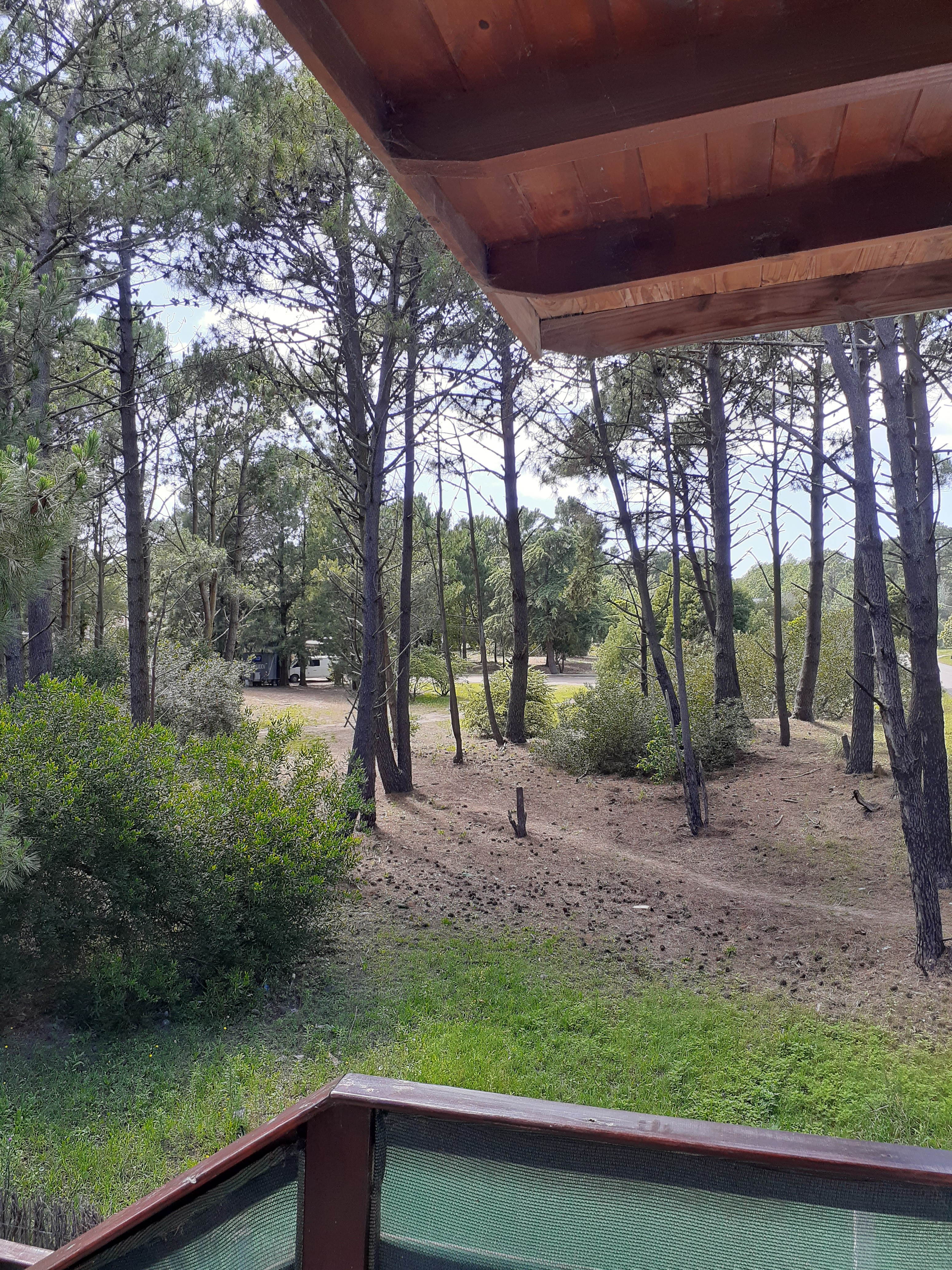Dept in Las Gaviotas surrounded by nature