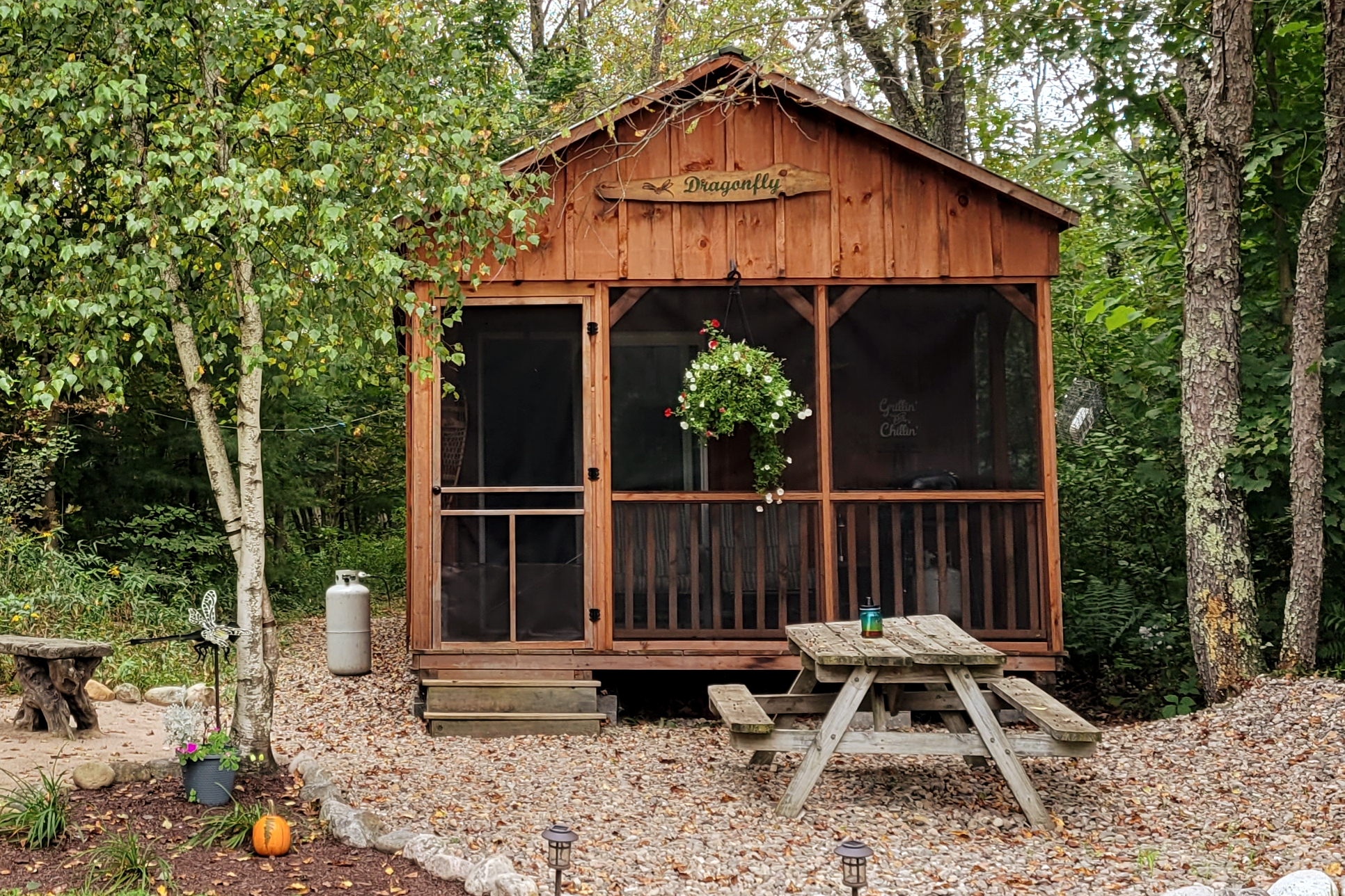 Rus-tic:appropriate to the country cabin,Dragonfly