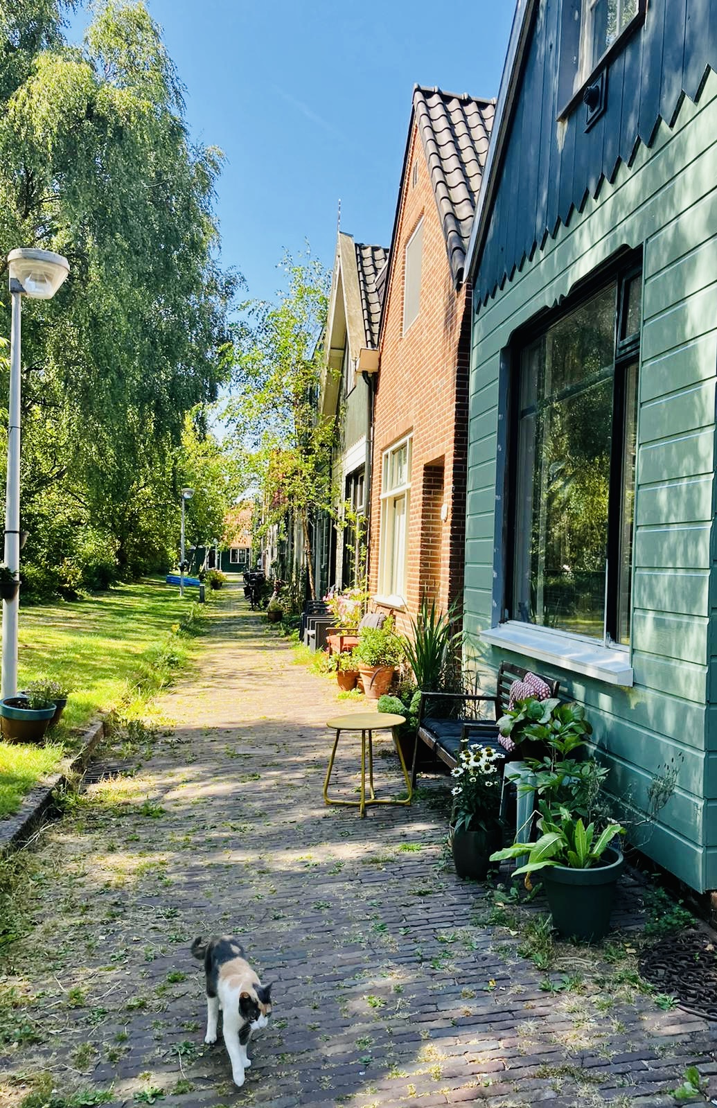 Typical Zaans house from 1890 - Amsterdam Area