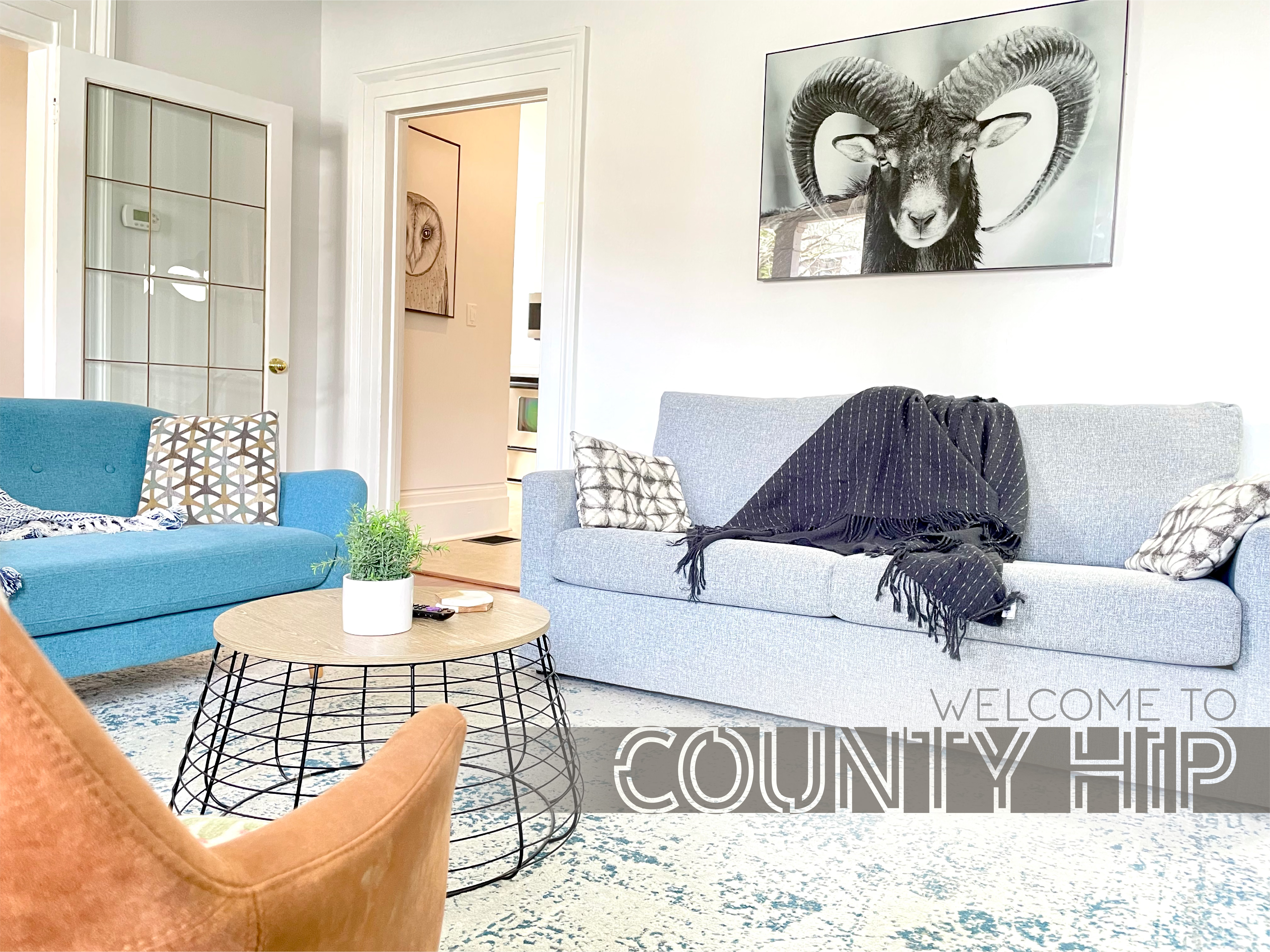 We're County Hip, for less – Sandbanks Beach Pass!