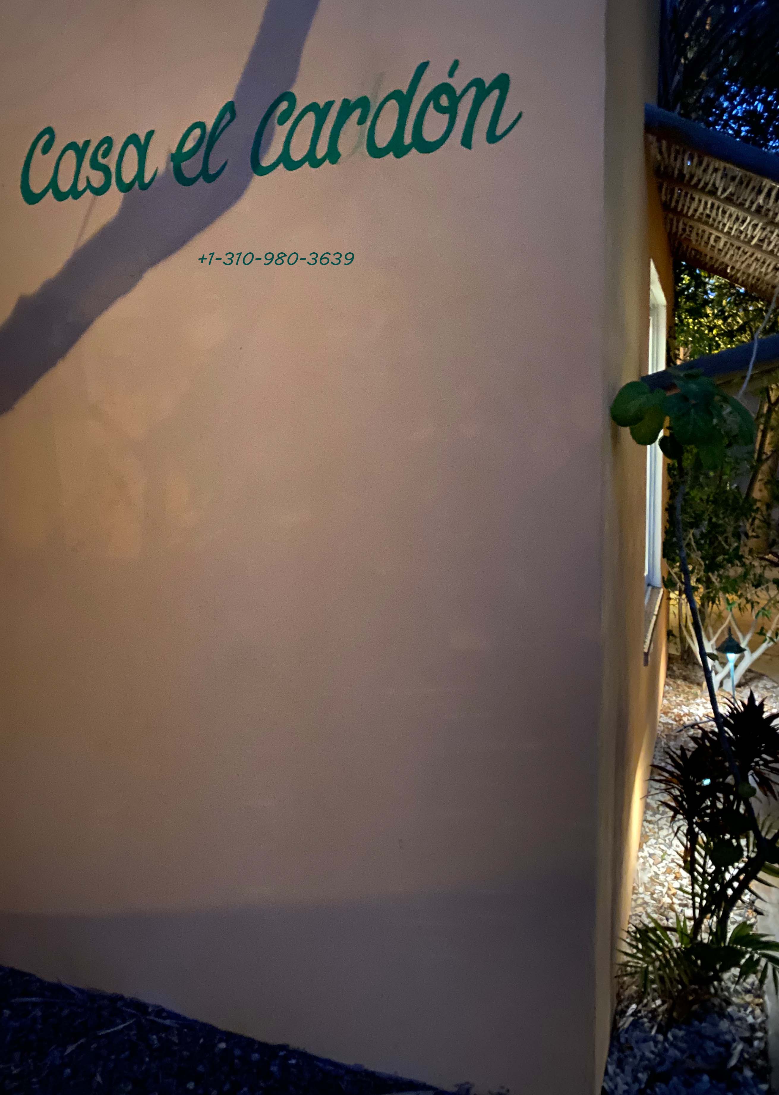 Casa El Cardon, a Centenario Home with a View Houses for Rent in El