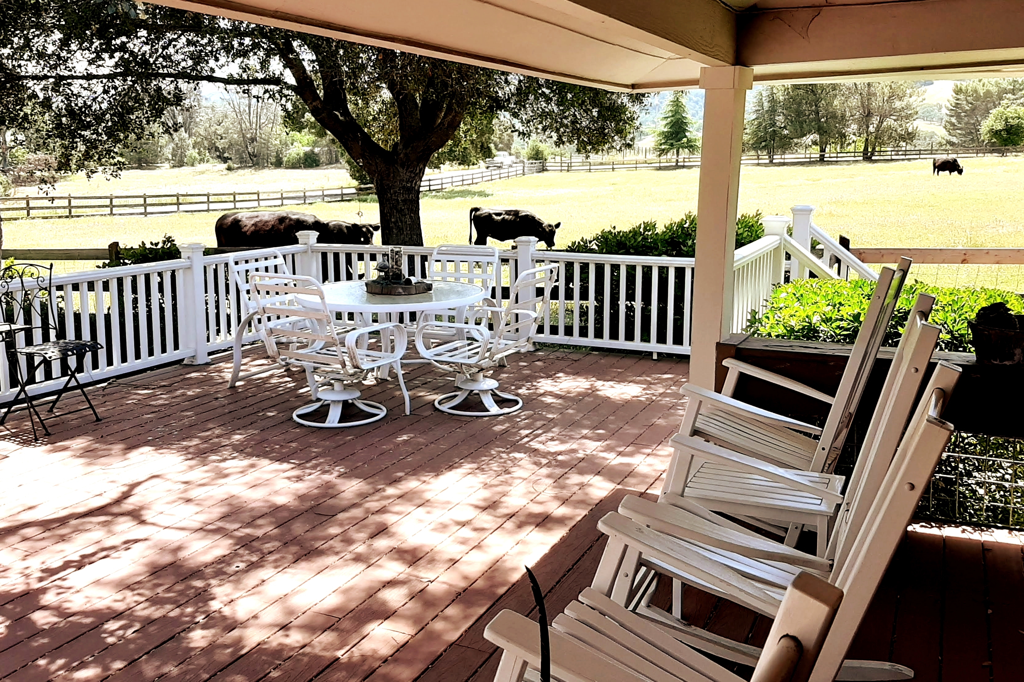 Needle in A Haystack-3 BR Patio Home with Hot Tub