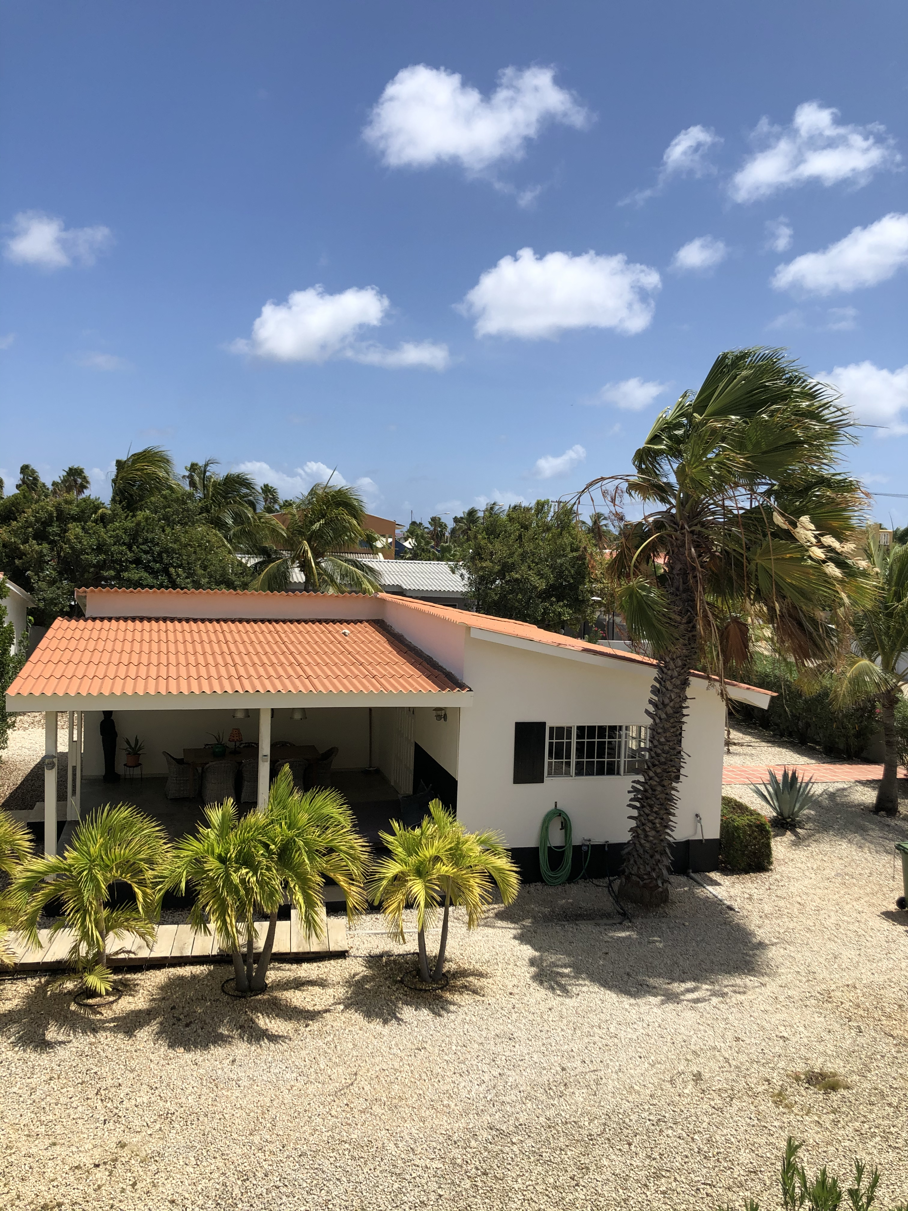 buddy dive bonaire on Kas Suave Bonaire Houses For Rent In Kralendijk Bonaire Bonaire Sint Eustatius And Saba