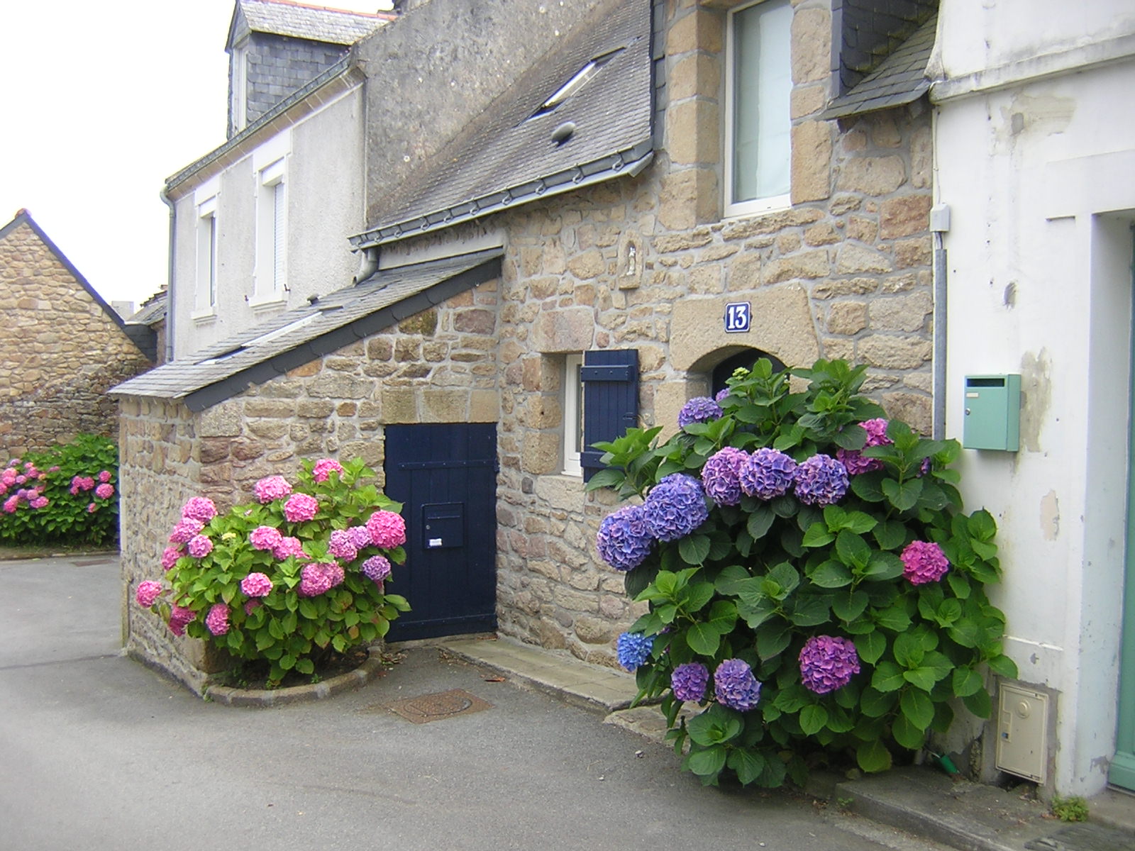 Grandma's House