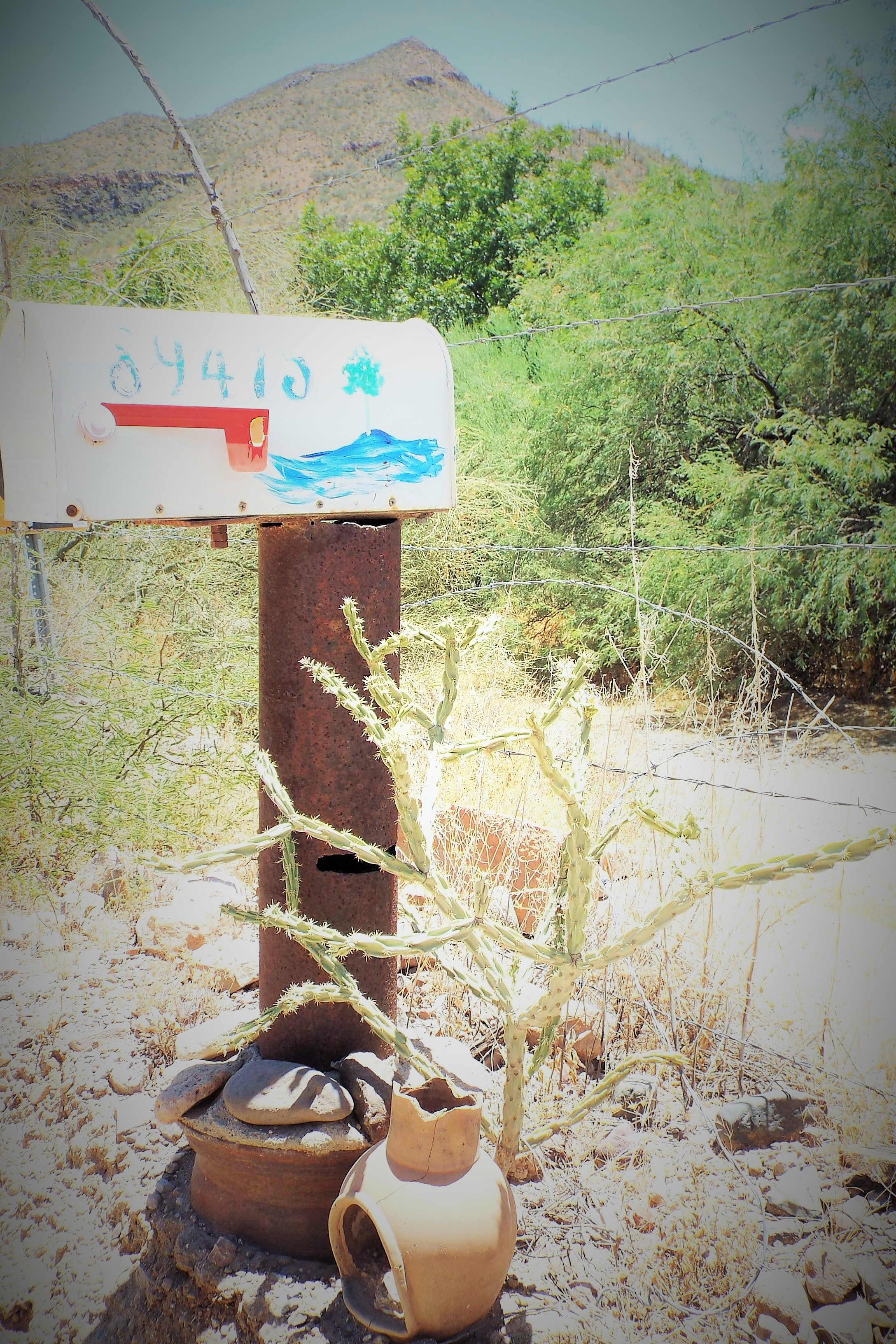 C. Steele Aravaipa Canyon Casita Farm stays for Rent in Winkelman