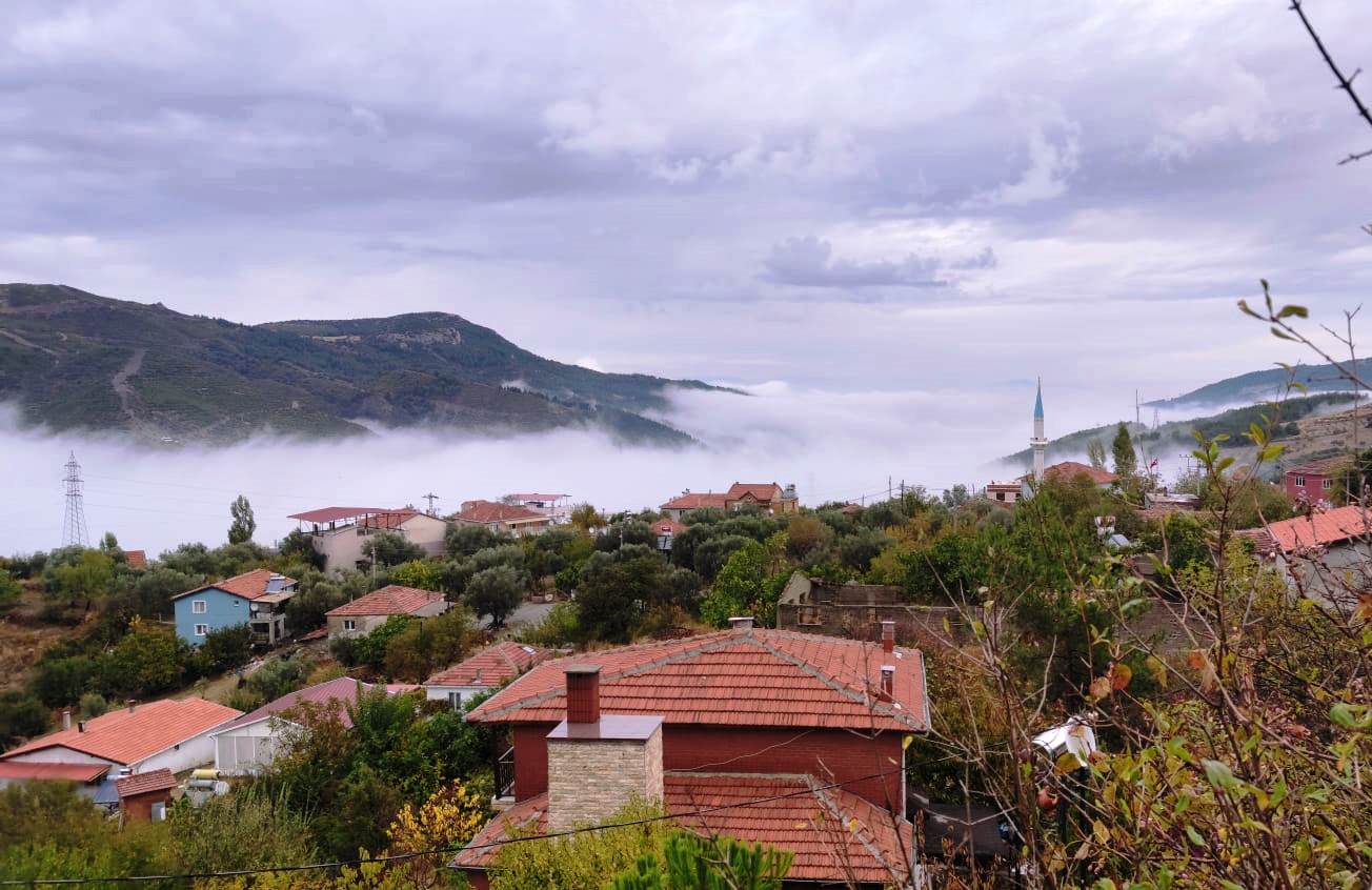 İzmir e 13km.doğaya sıfır,manzaralı dağorman evi Chalets for Rent in