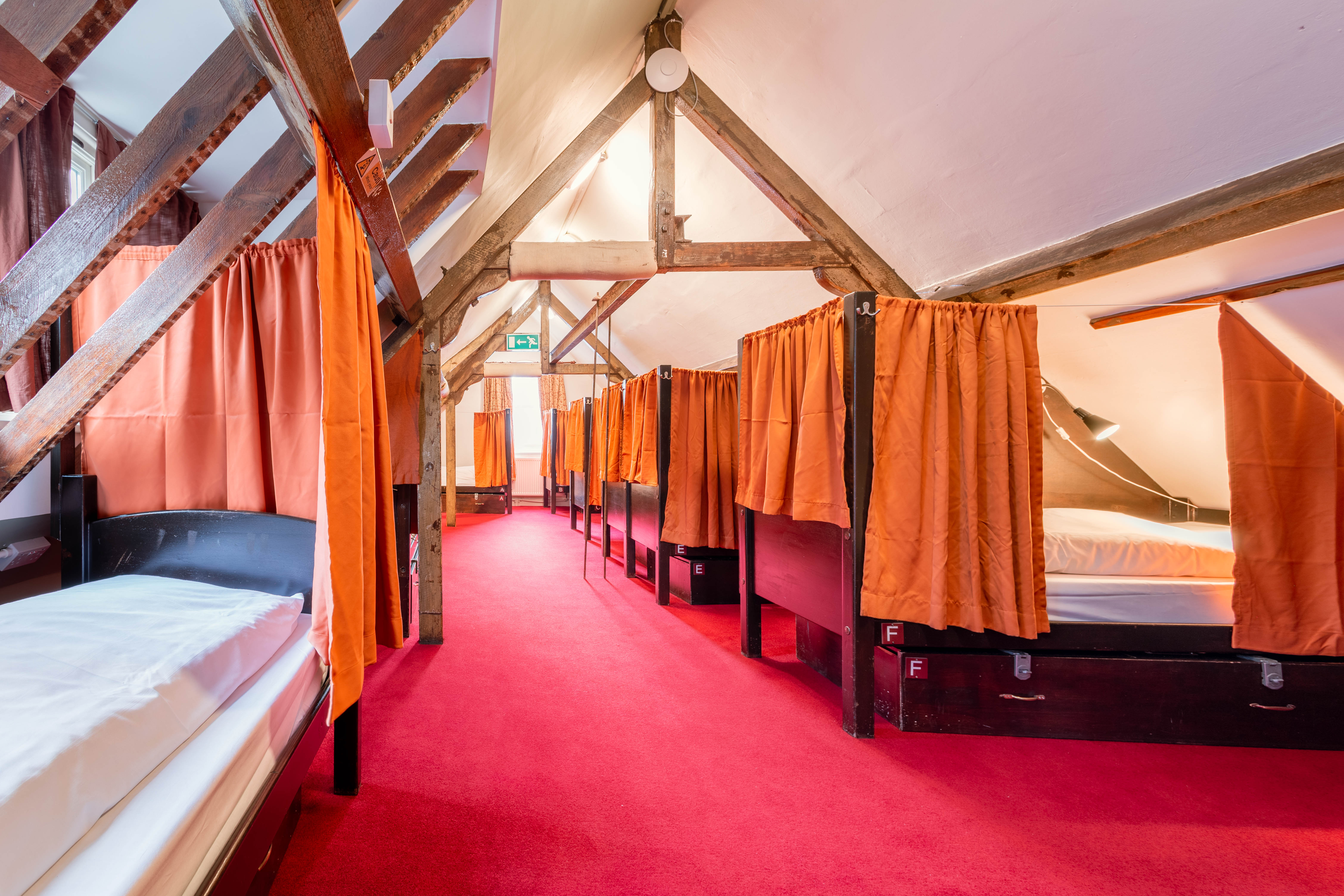 Bed in a 14 Person Shared Dormitory