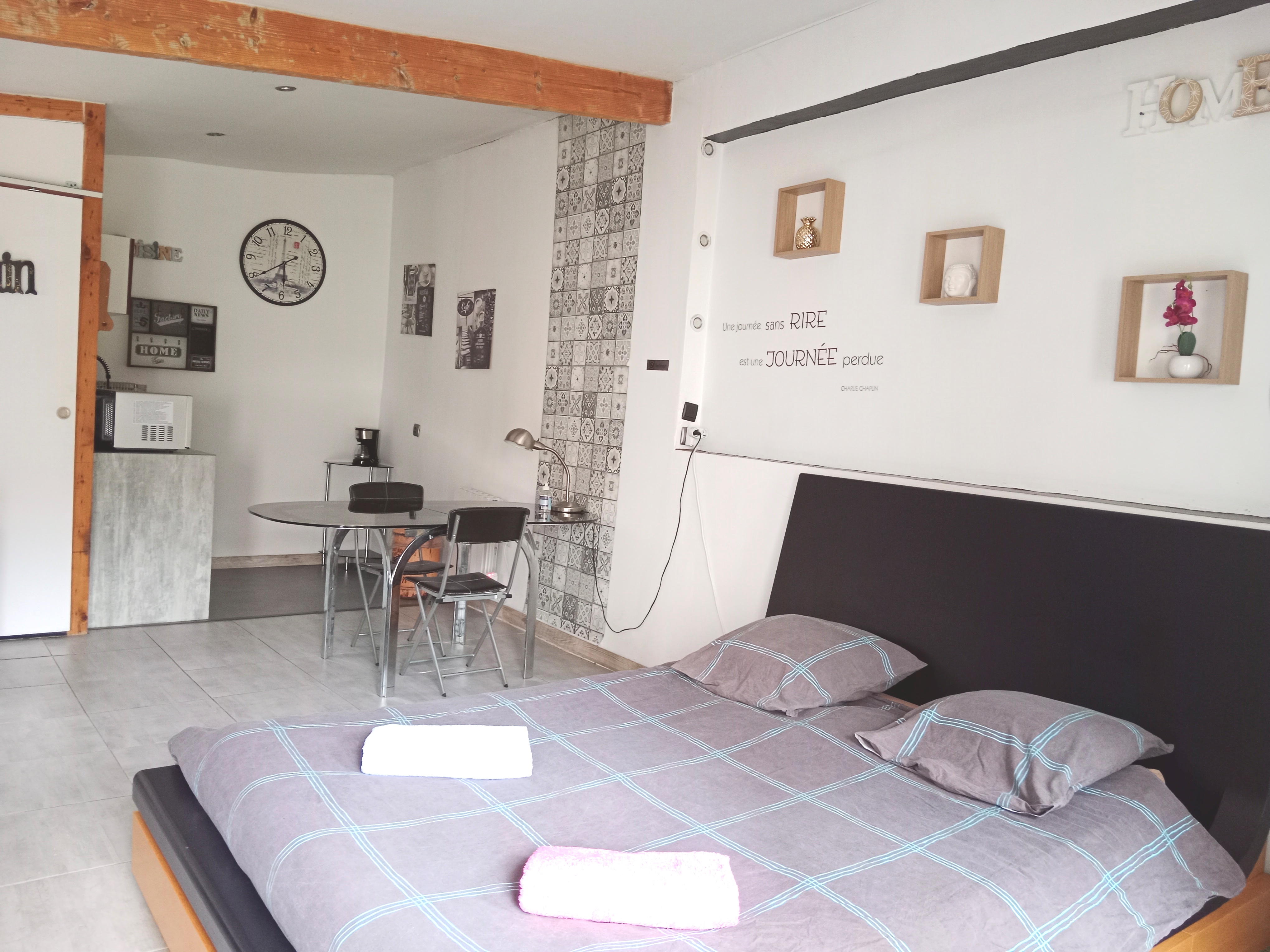 Studio 45m2 on the garden floor