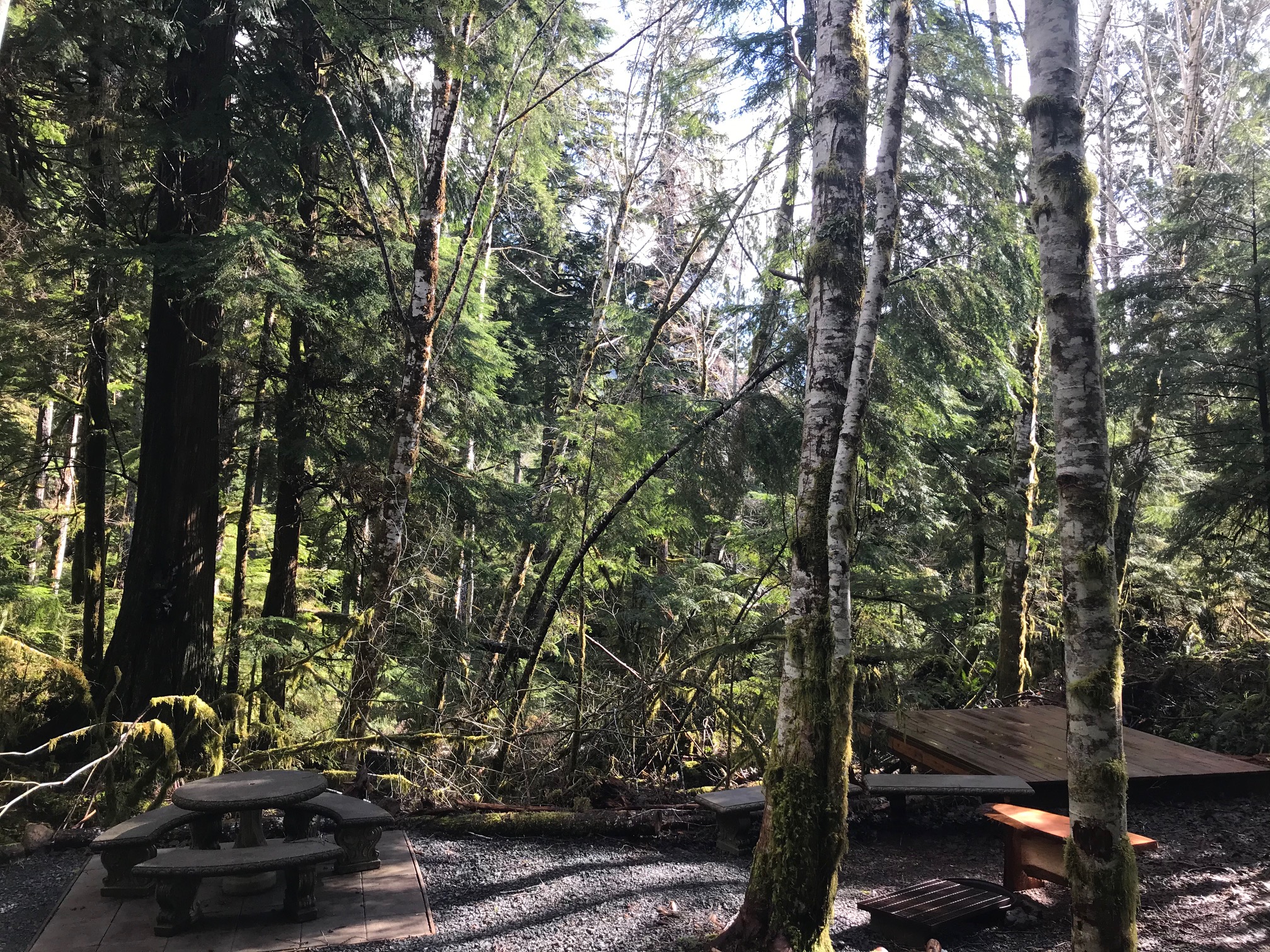 Sol duc rainforest car camping or tent site 9 Yurts for