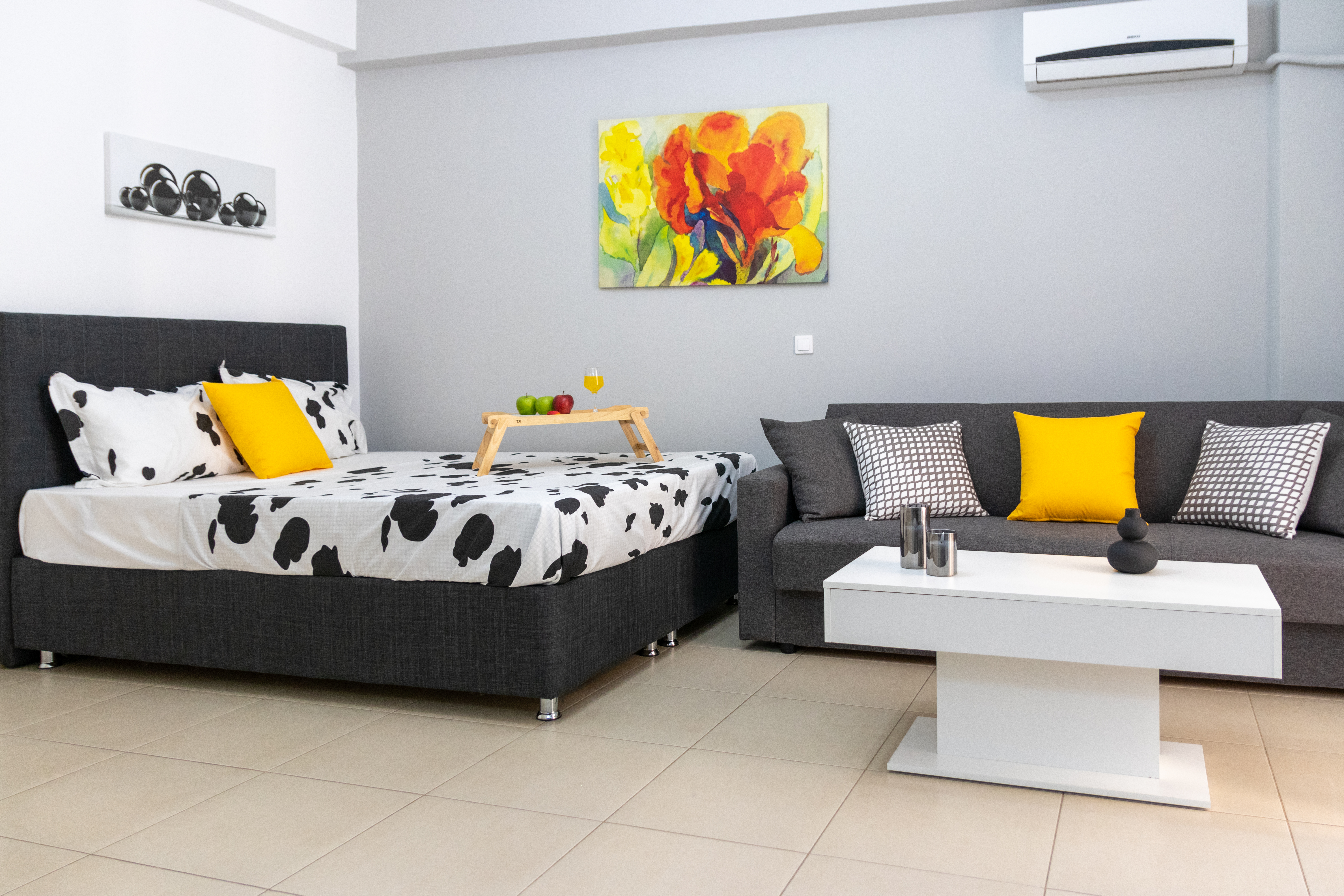 C3 Modern Spartan Apartment