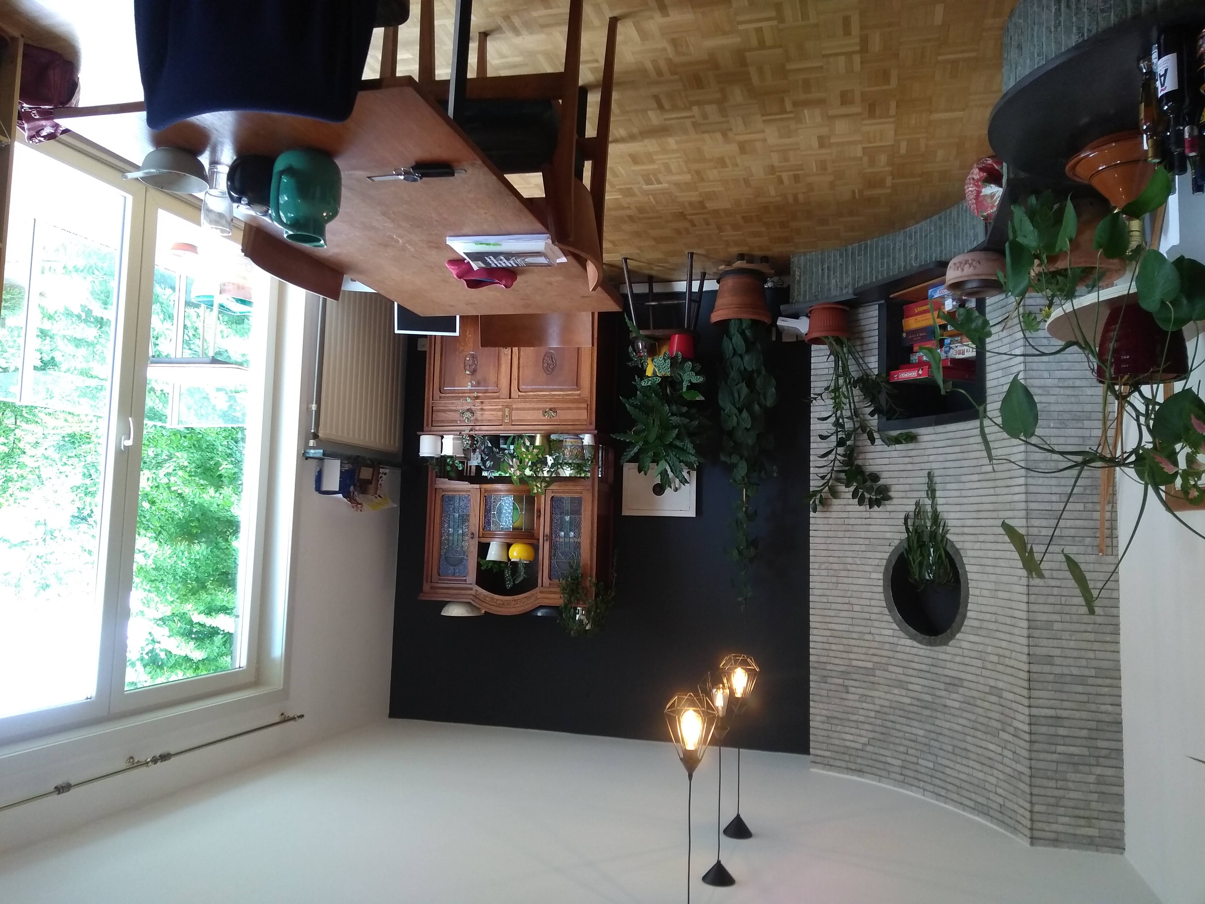 Private room, little terrace and Park, in Antwerp in Tentoonstellingswijk, Antwerp