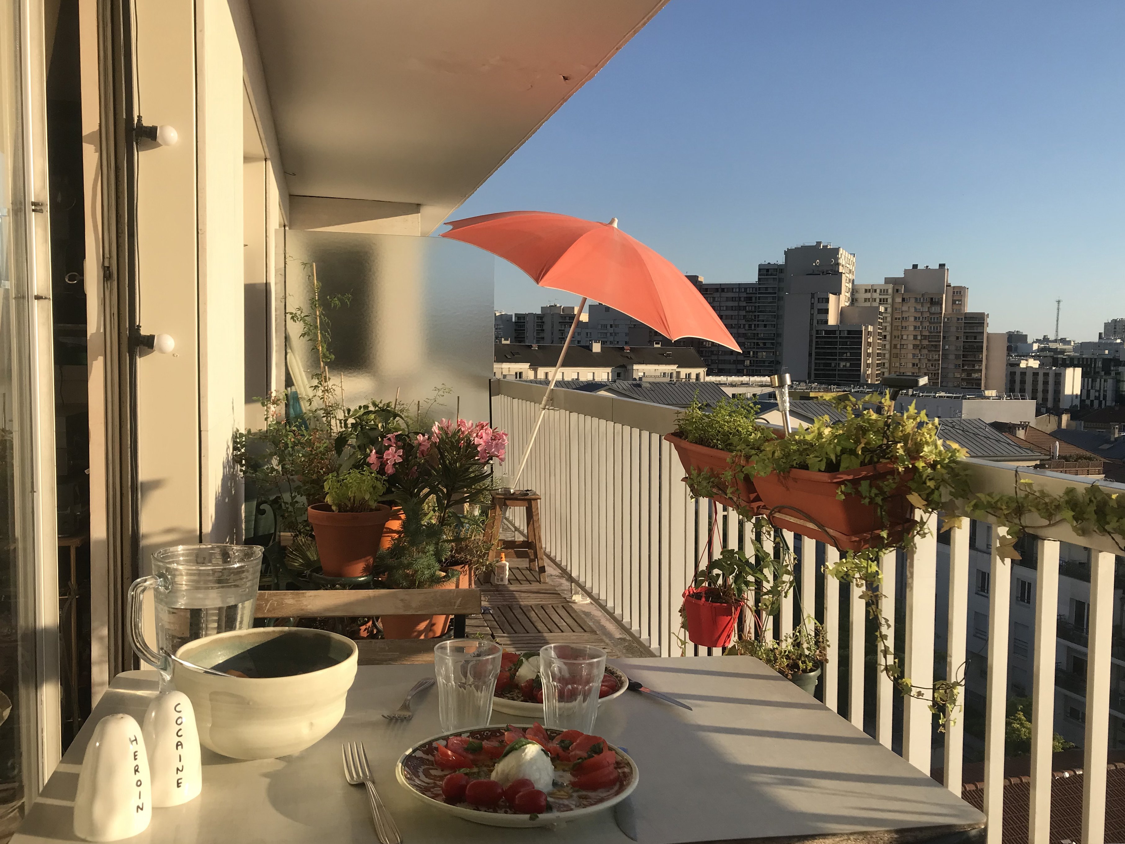Apartment with terrace and unobstructed views of Paris