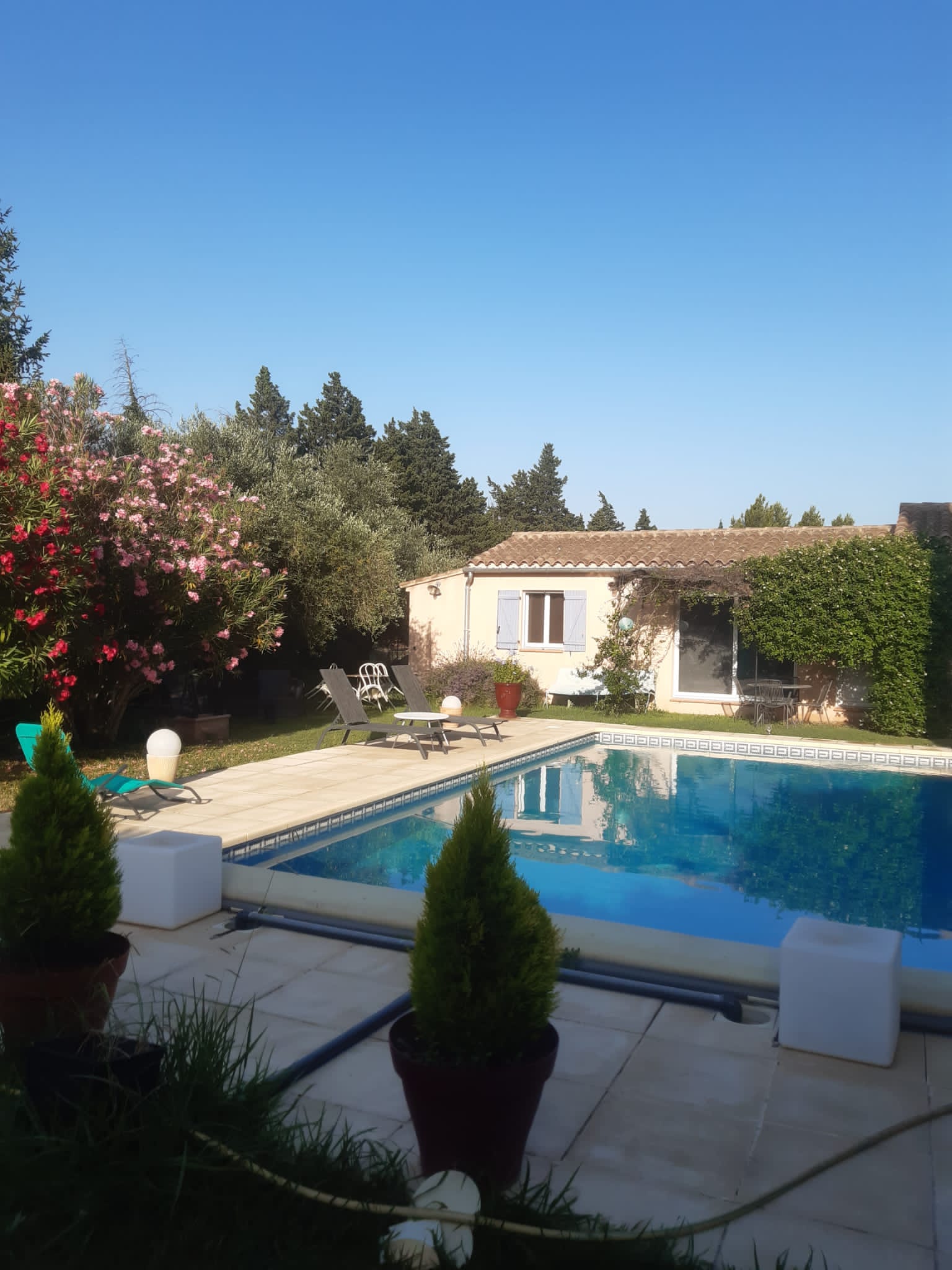 House pool view