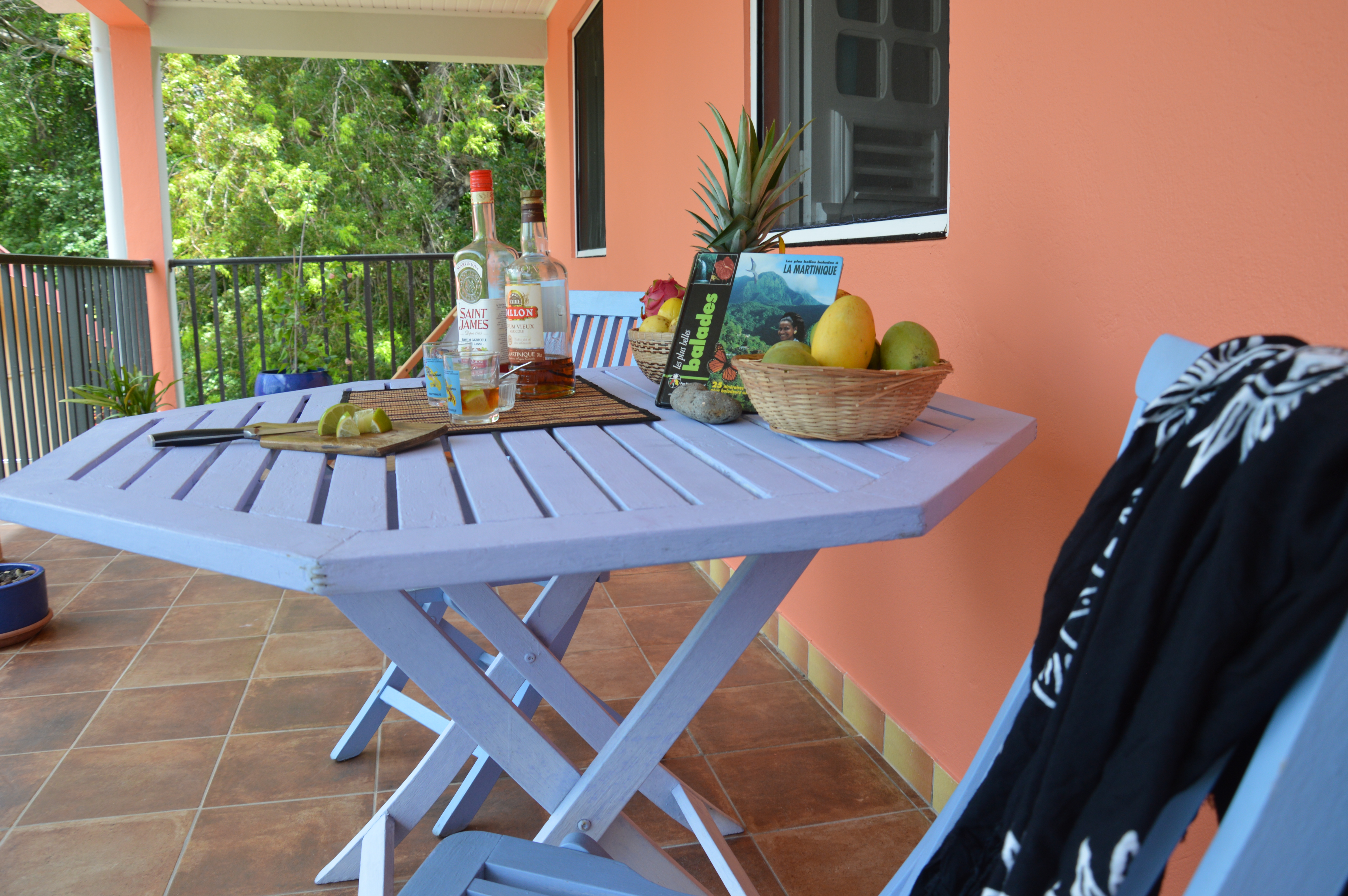 Bougainvillea with swimming pool in Vauclin