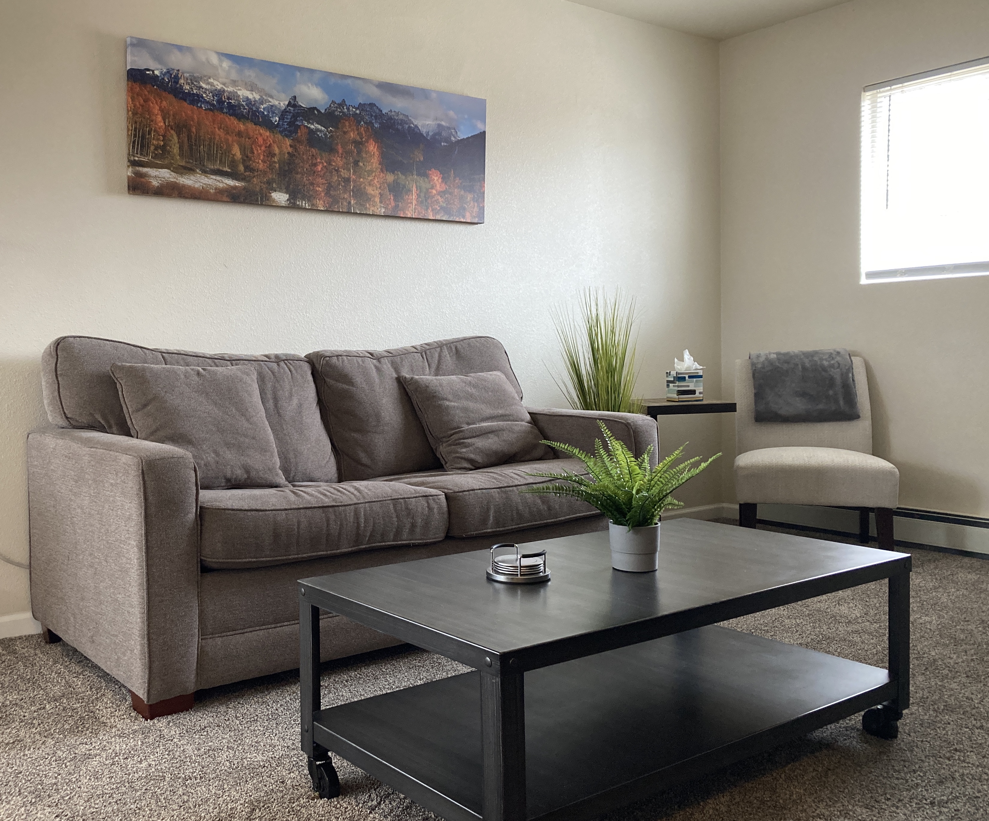 Light & Bright Apartment in Downtown Lafayette
