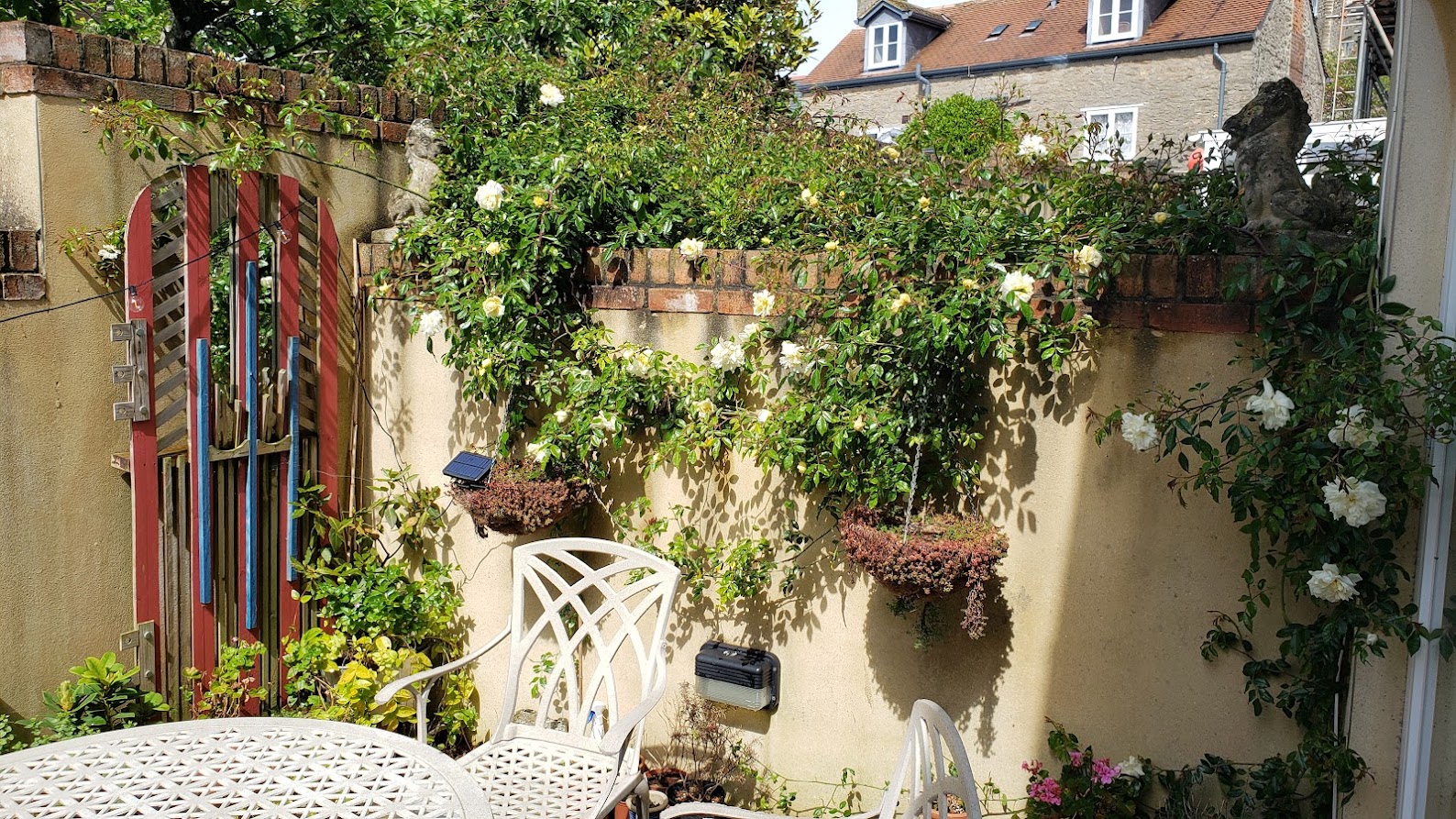 Buzzy Bridport Base