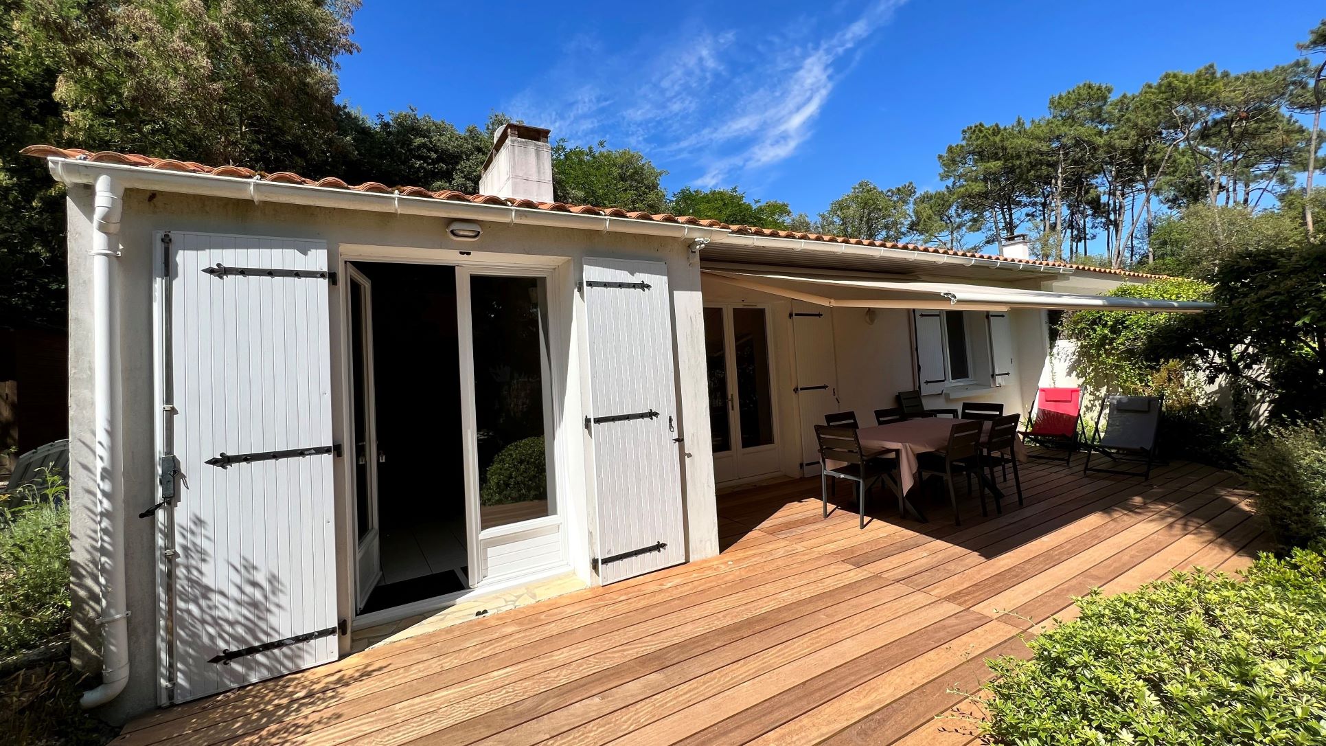 House on the seaside nestled in the pine forest