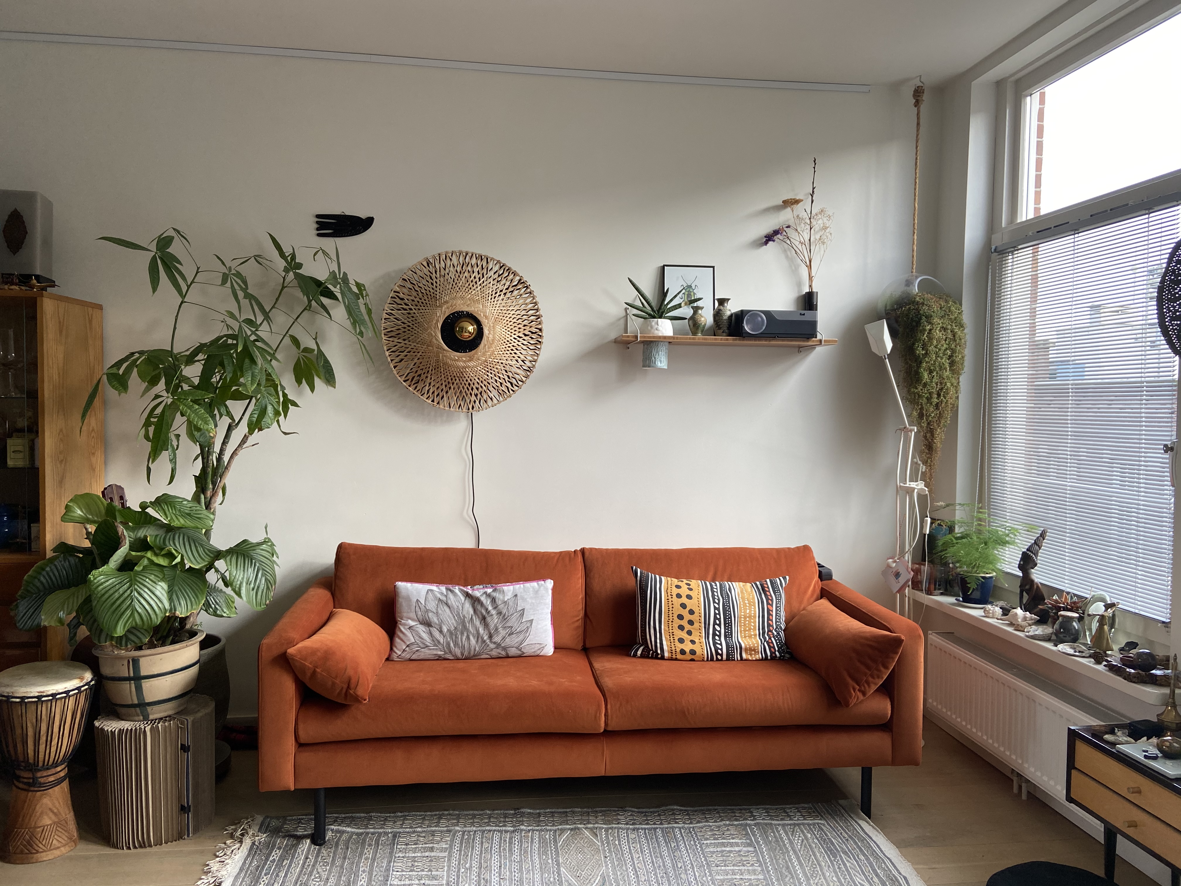 Private room in Amsterdam with roof terrace! — Amsterdam stay
