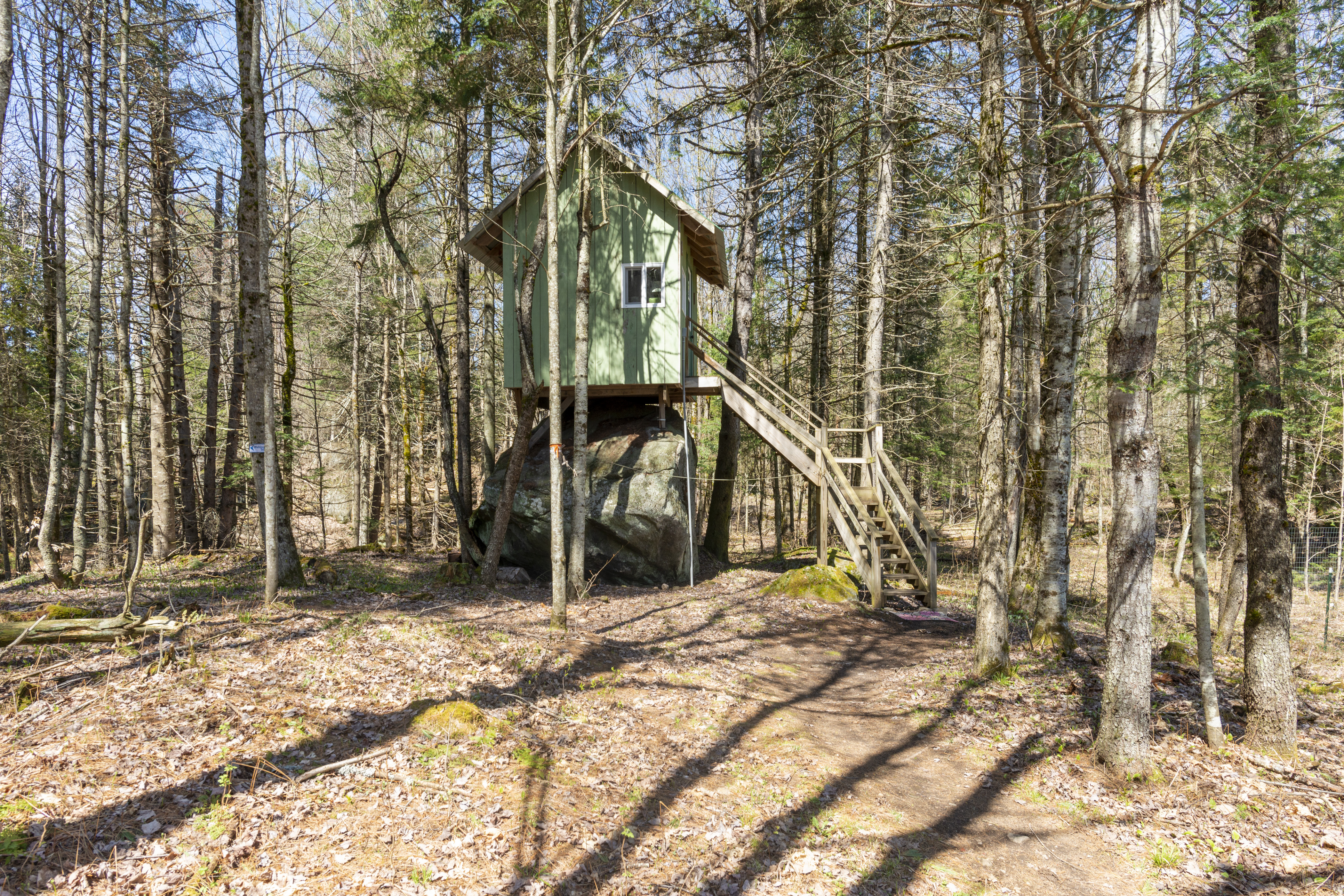 The Rock House up in the trees!