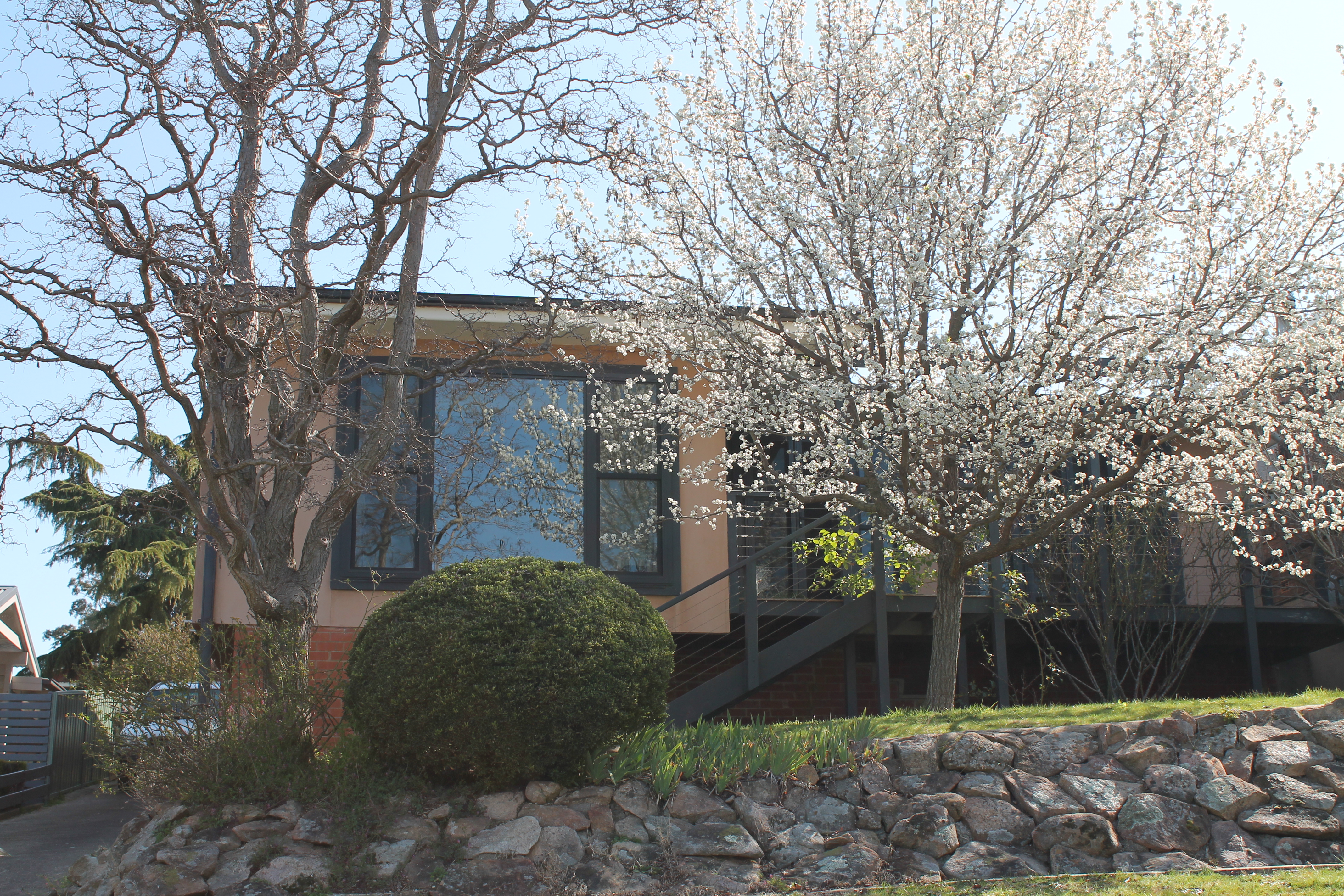 Cosy home close to races, sports fields & Uni