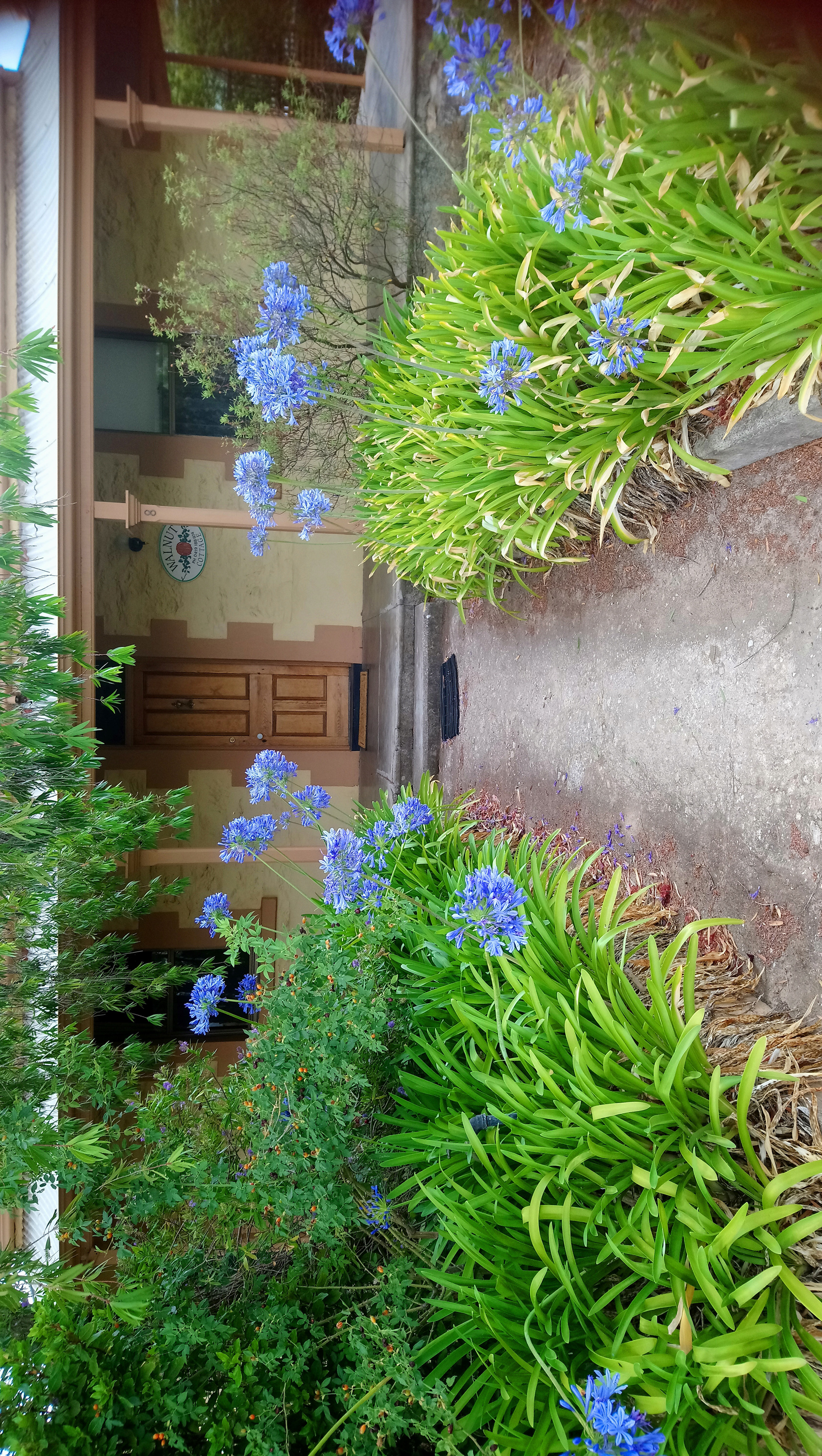 Walnut Cottage, Angaston in Angaston, Barossa Valley