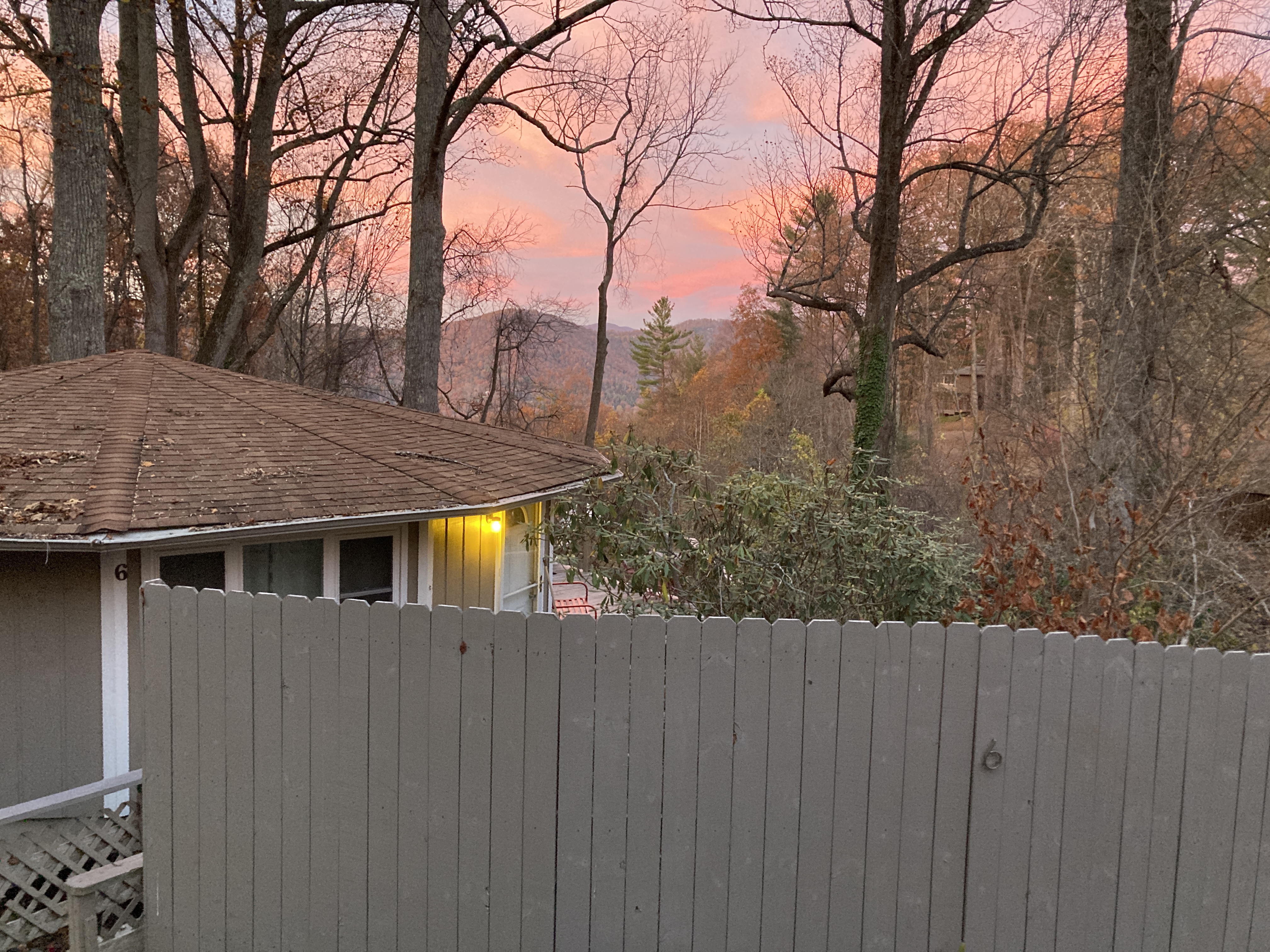 Asheville Modern Tree Top Bungalow w/ fire table! in 28804, Asheville