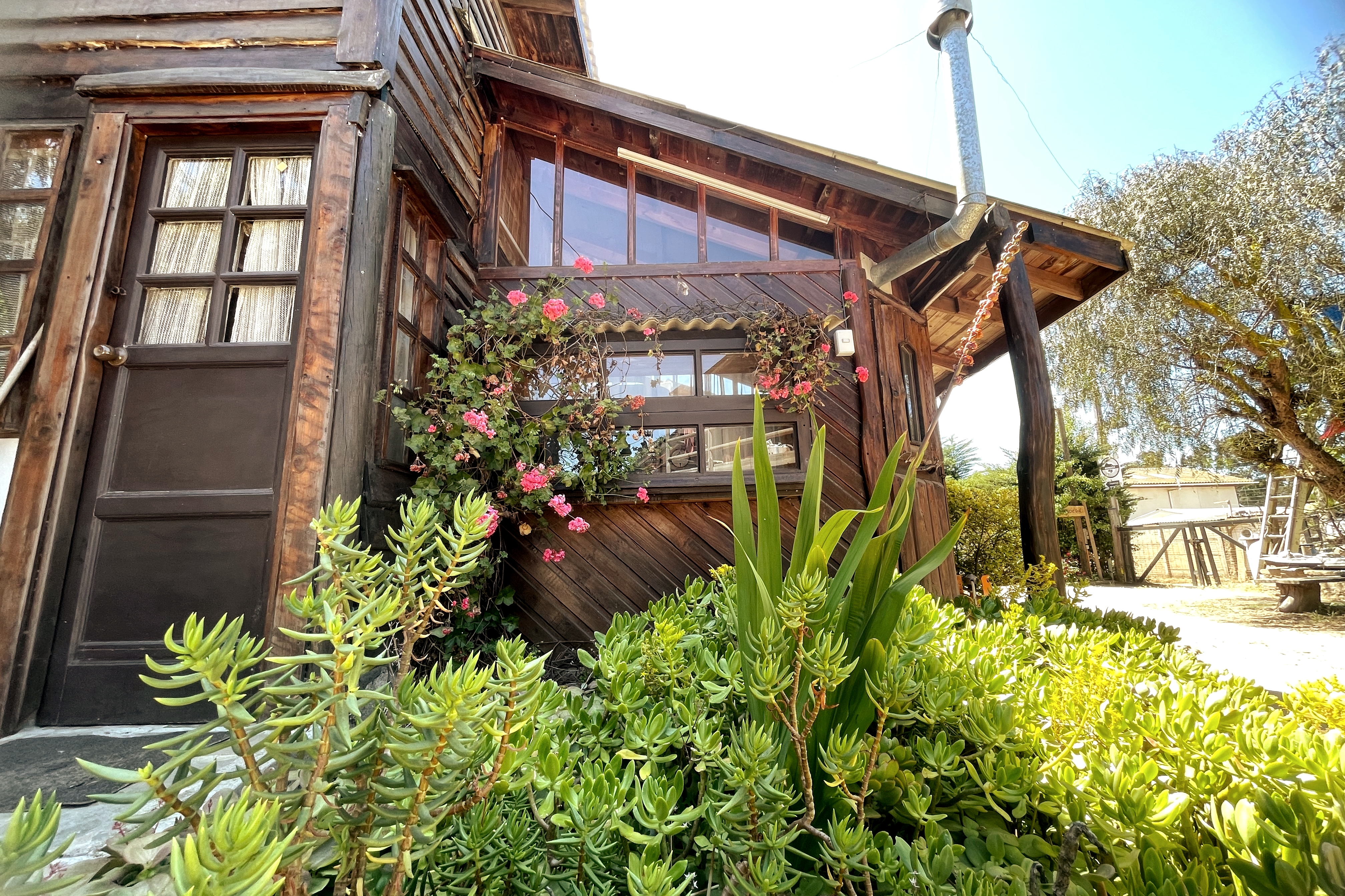 El Bosque Horcón Cabins 1