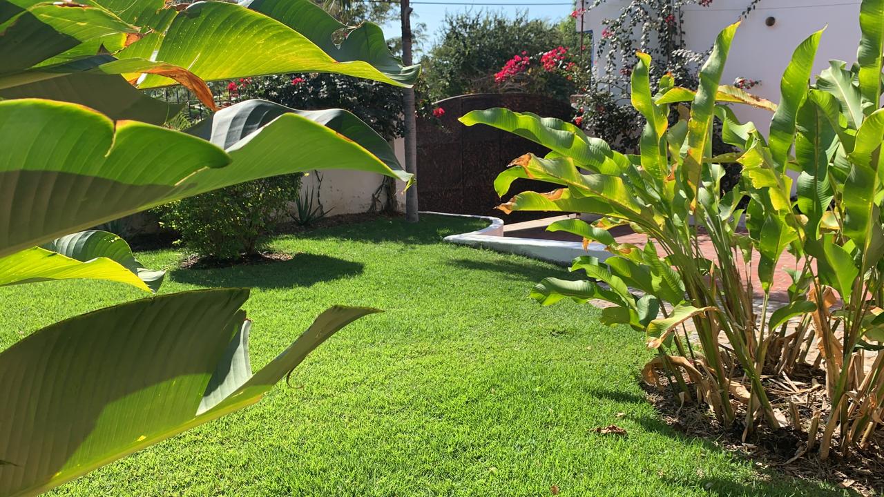 House pet  friendly free close to the beach
