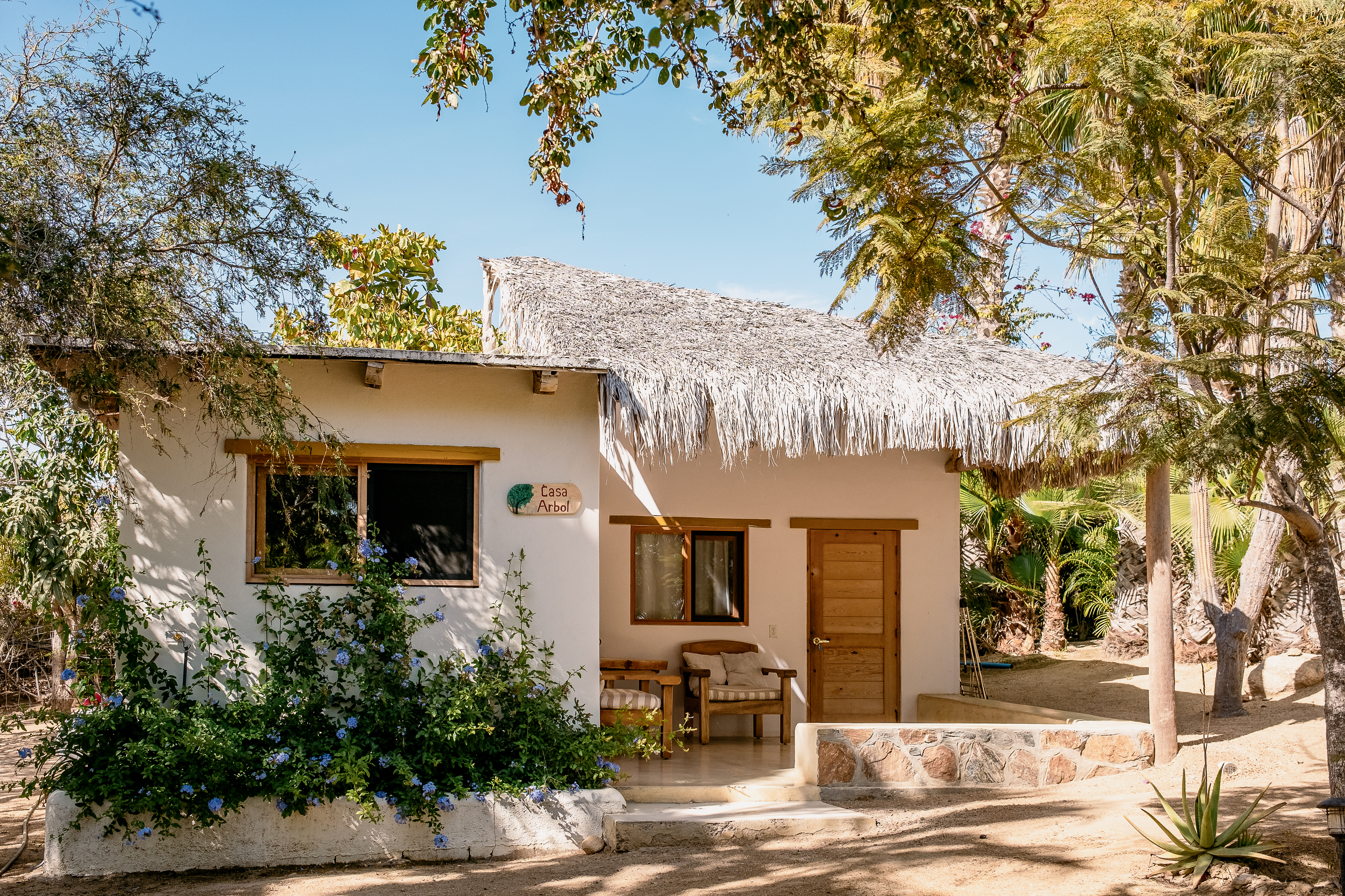 Villa Gardenia - Oceafront Casa Arbol