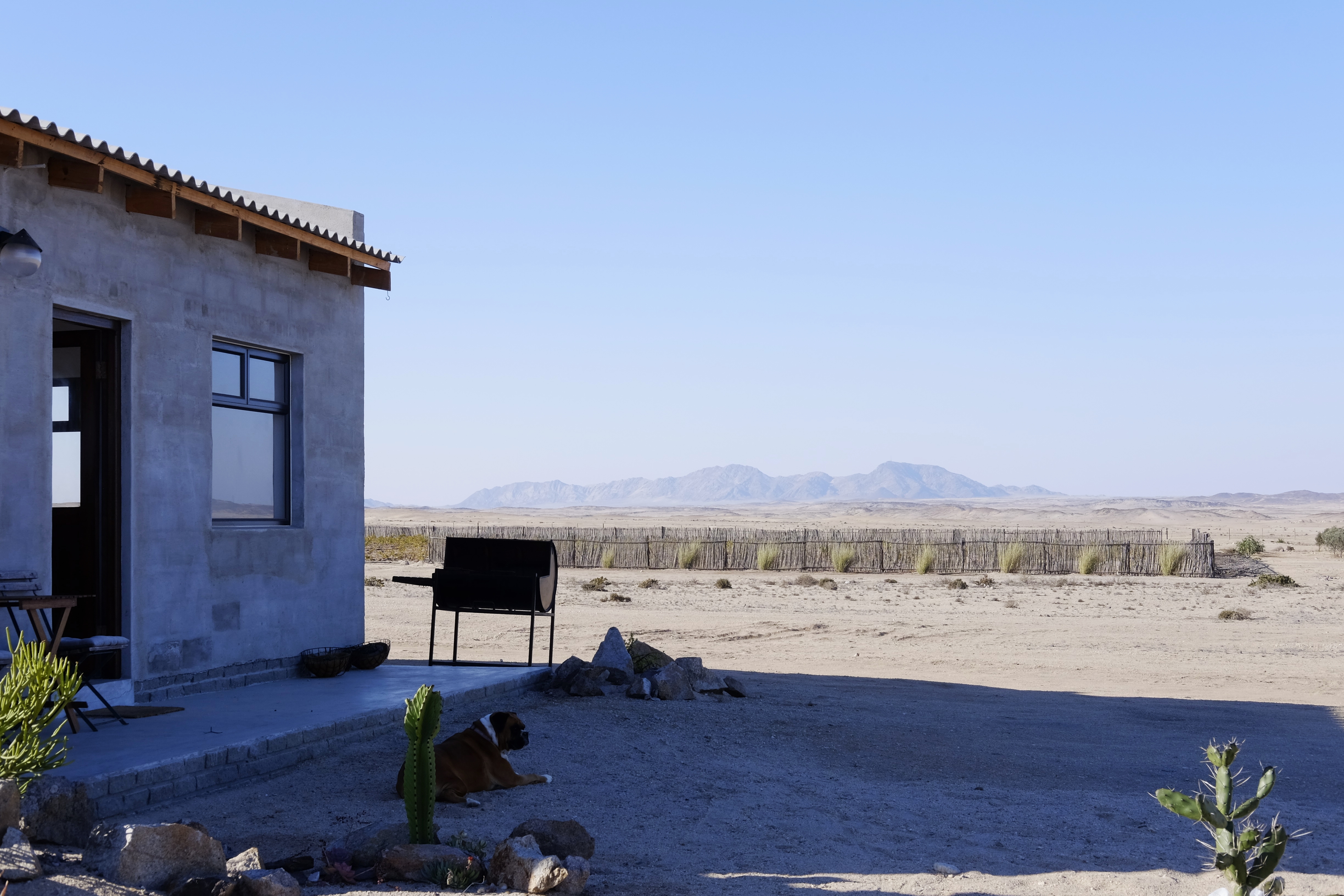 The Desert Shack