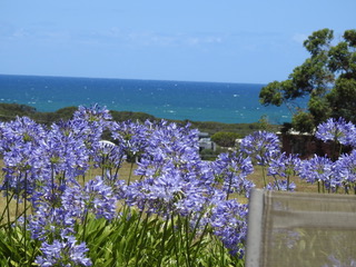 Beach house with great ocean views in Greater Geelong, Barwon South West Vic