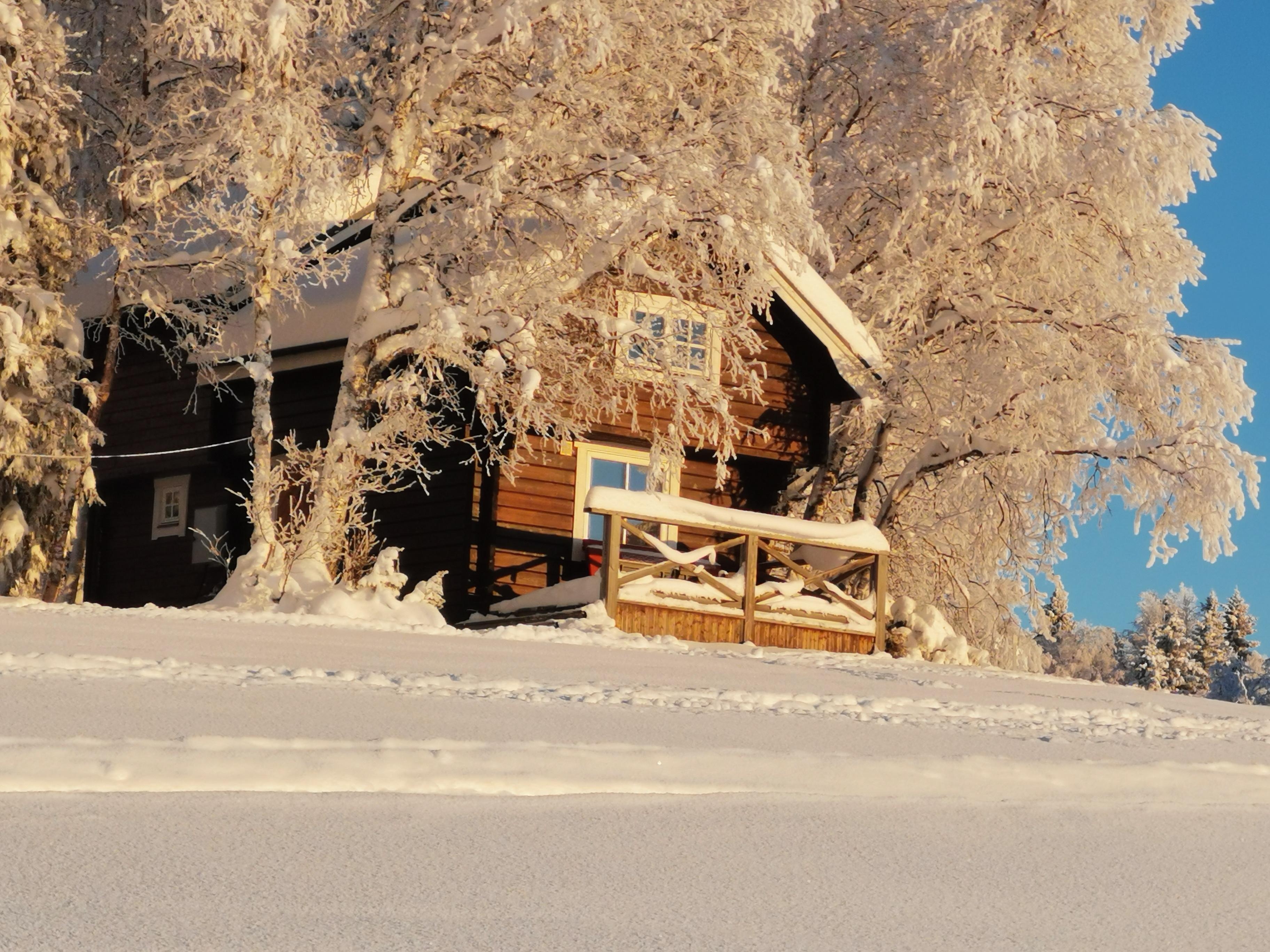 Mysig stuga  / Cosy cottage on a huskyfarm