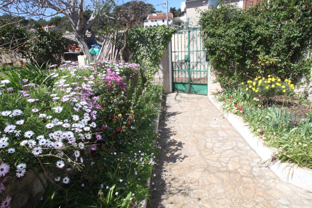 House Anita - apartment Danica