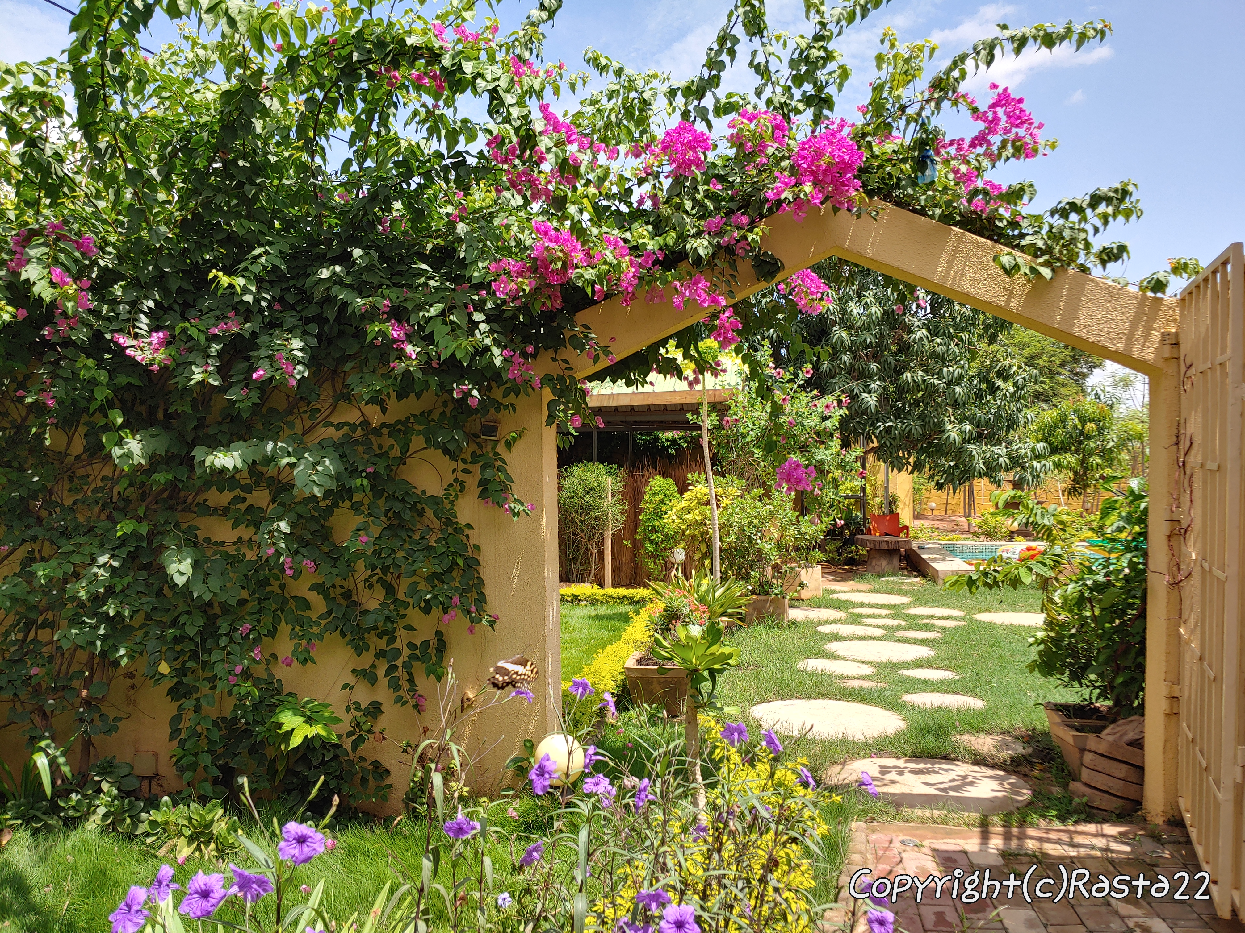 Hibiscus-roses residence: garden, pool...