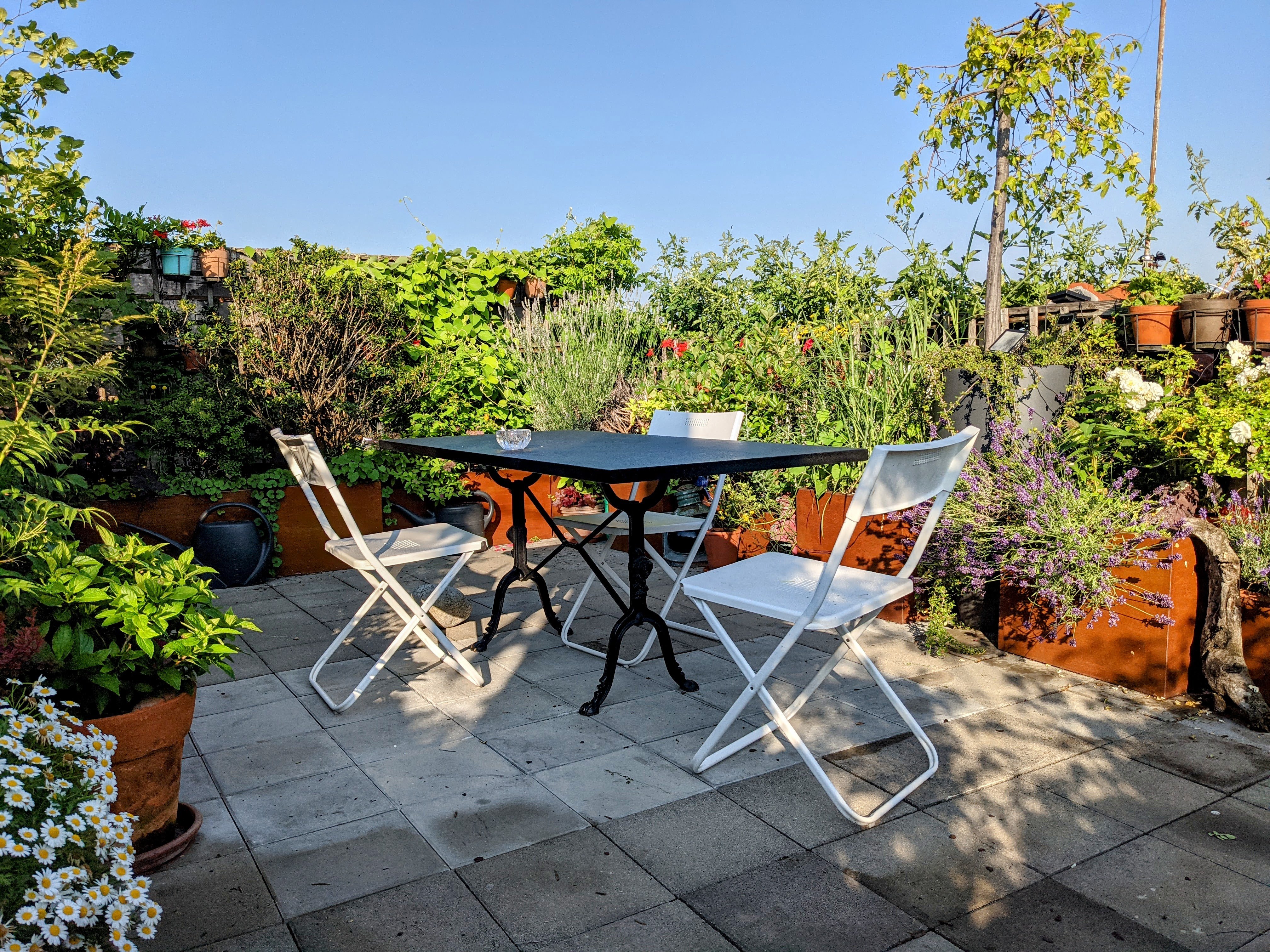 Chambre atypique et toit-jardin