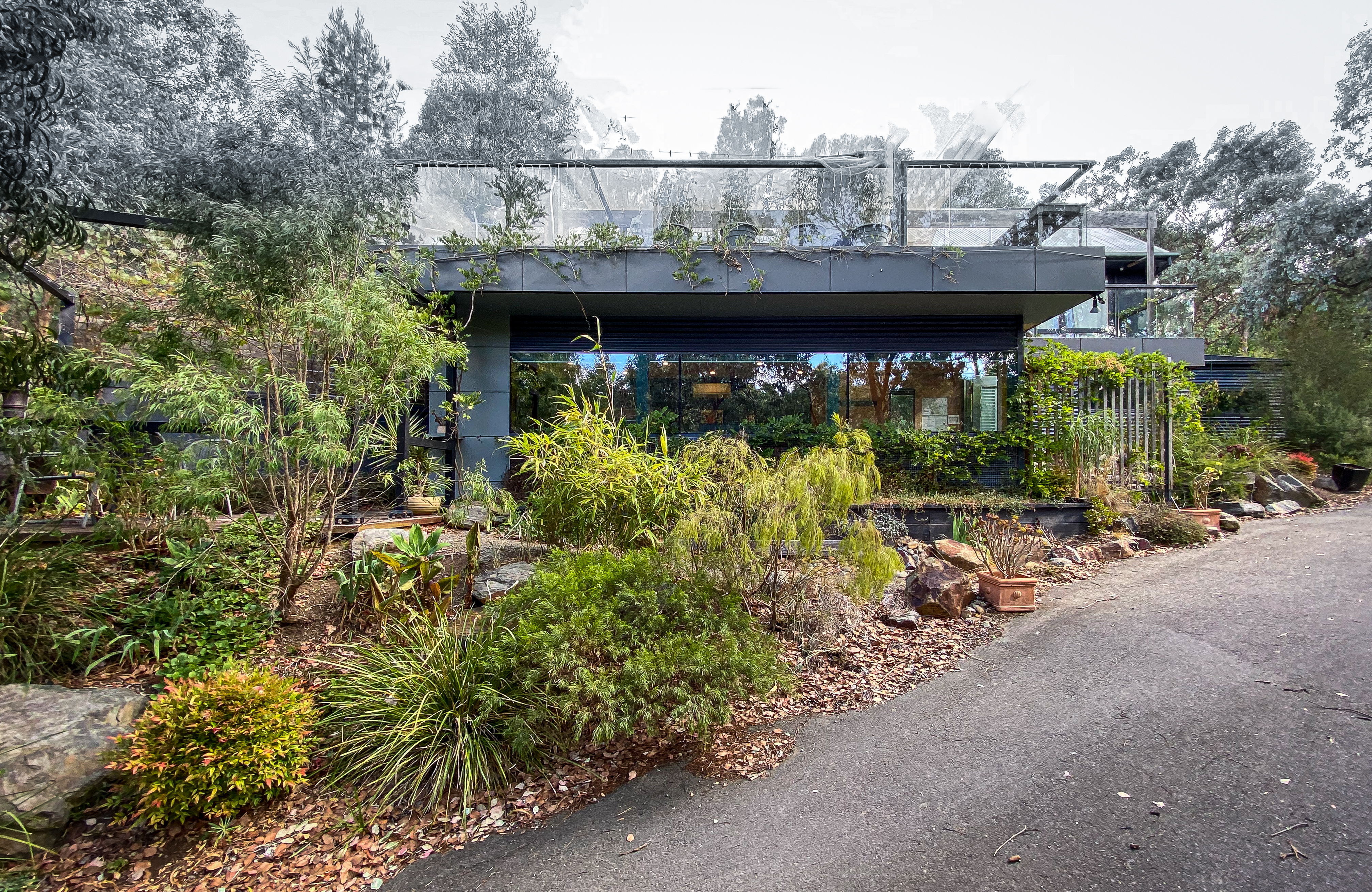 Warrandyte Retreat. Modern, Calm, in the Treetops