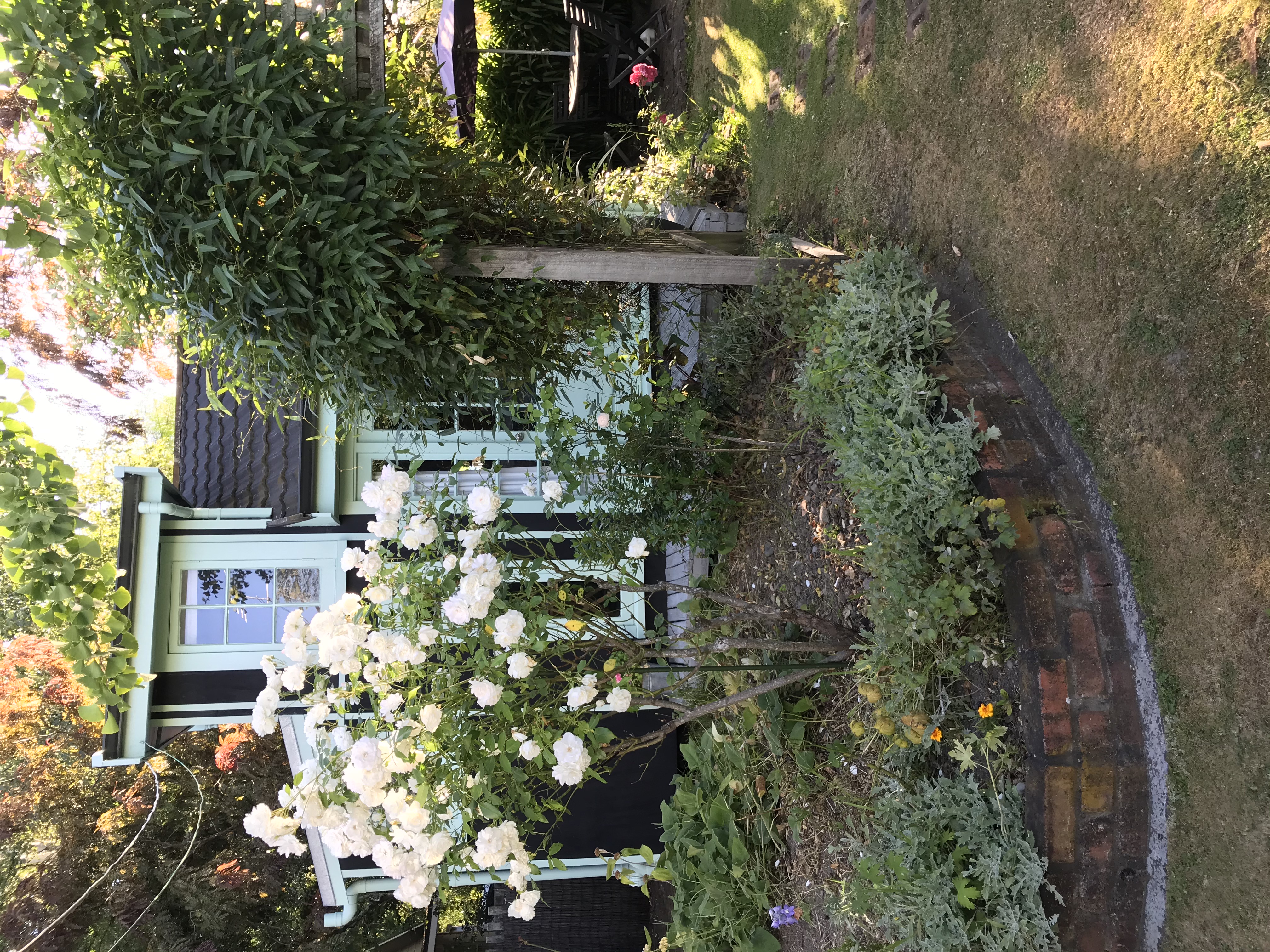 6 Wood Street Studio Greytown.