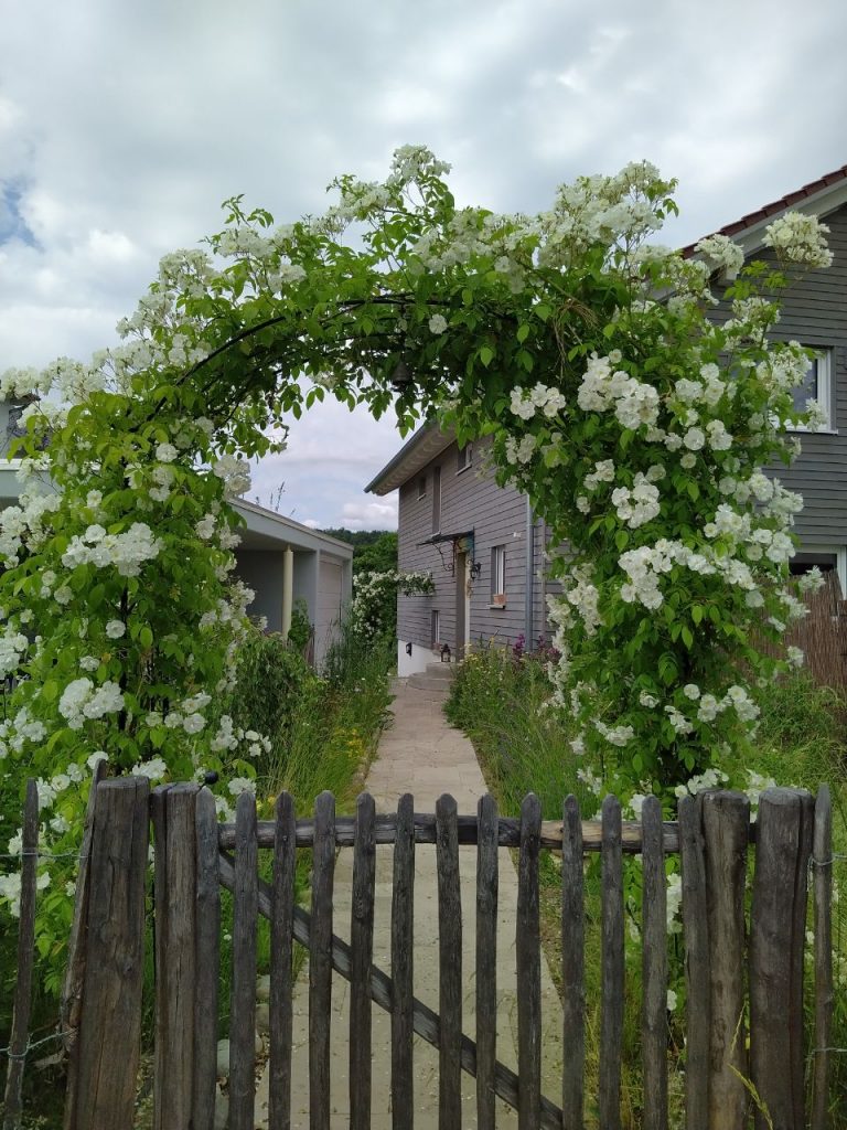 Ferienwohnung Storchengarten