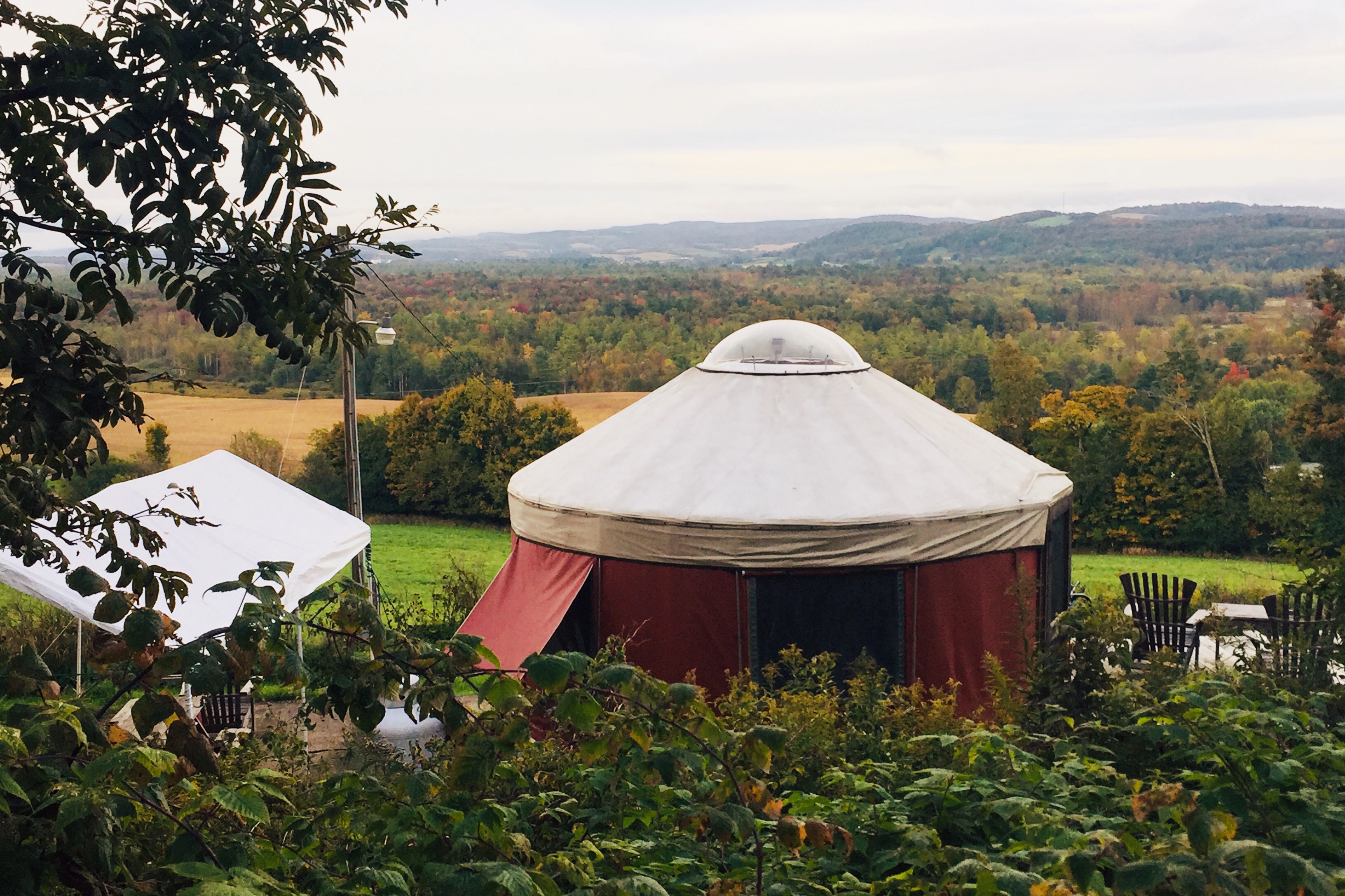 Yurt Rental on 80 private acres