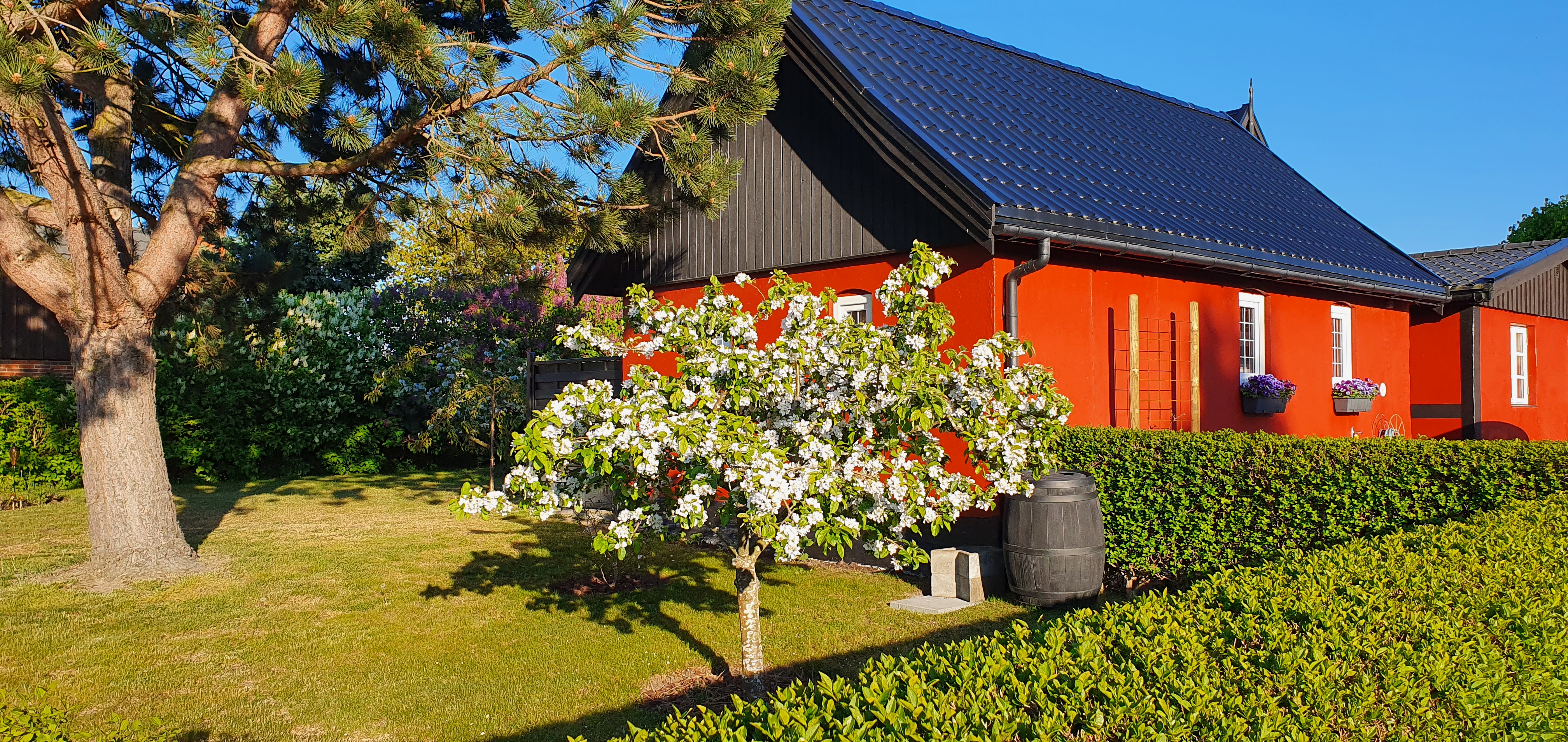 Charming and cozy Annex in Snogebæk, Nexø
