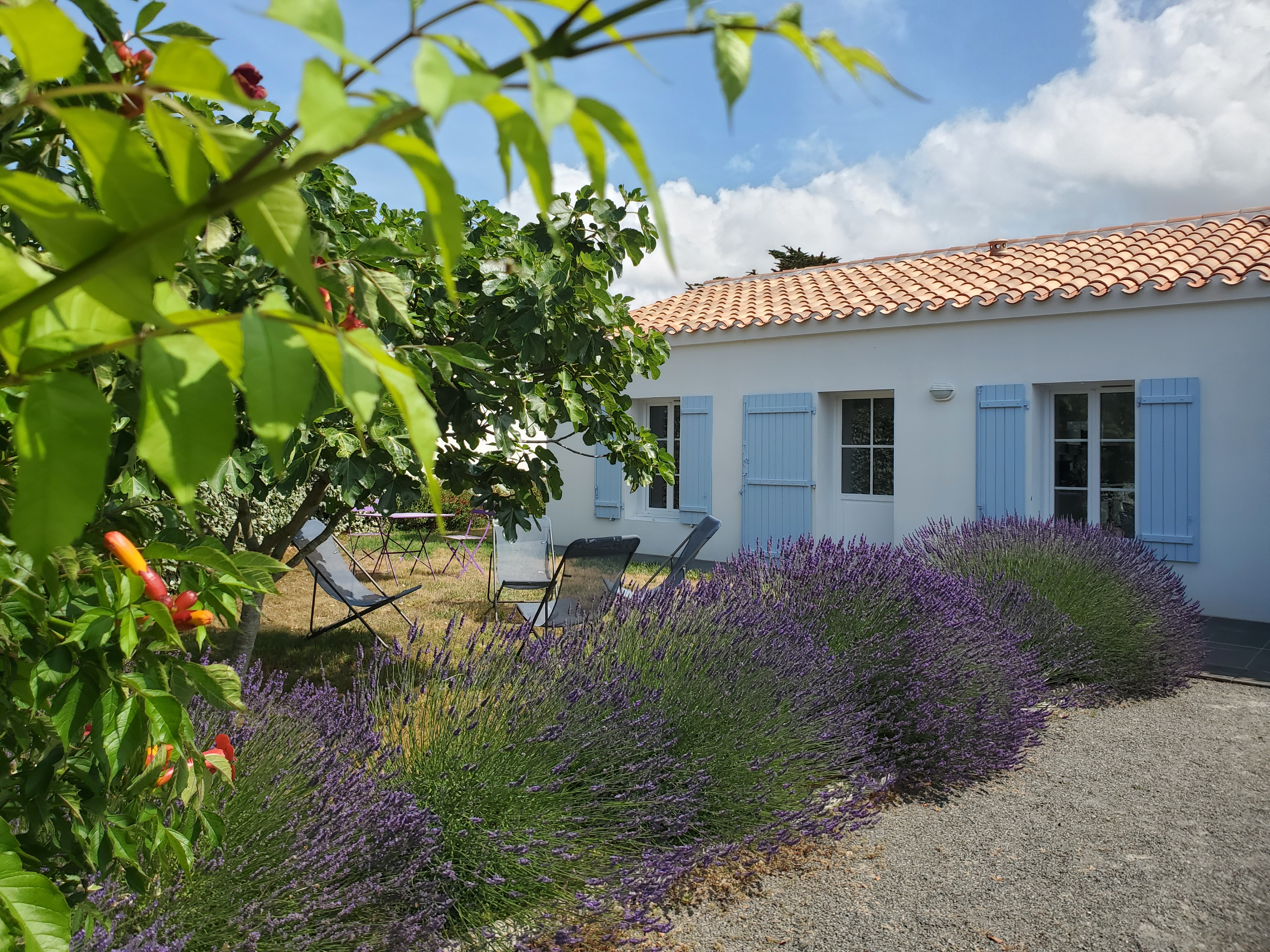 3 Bedroom House Beach 100m away
Rated 2 stars