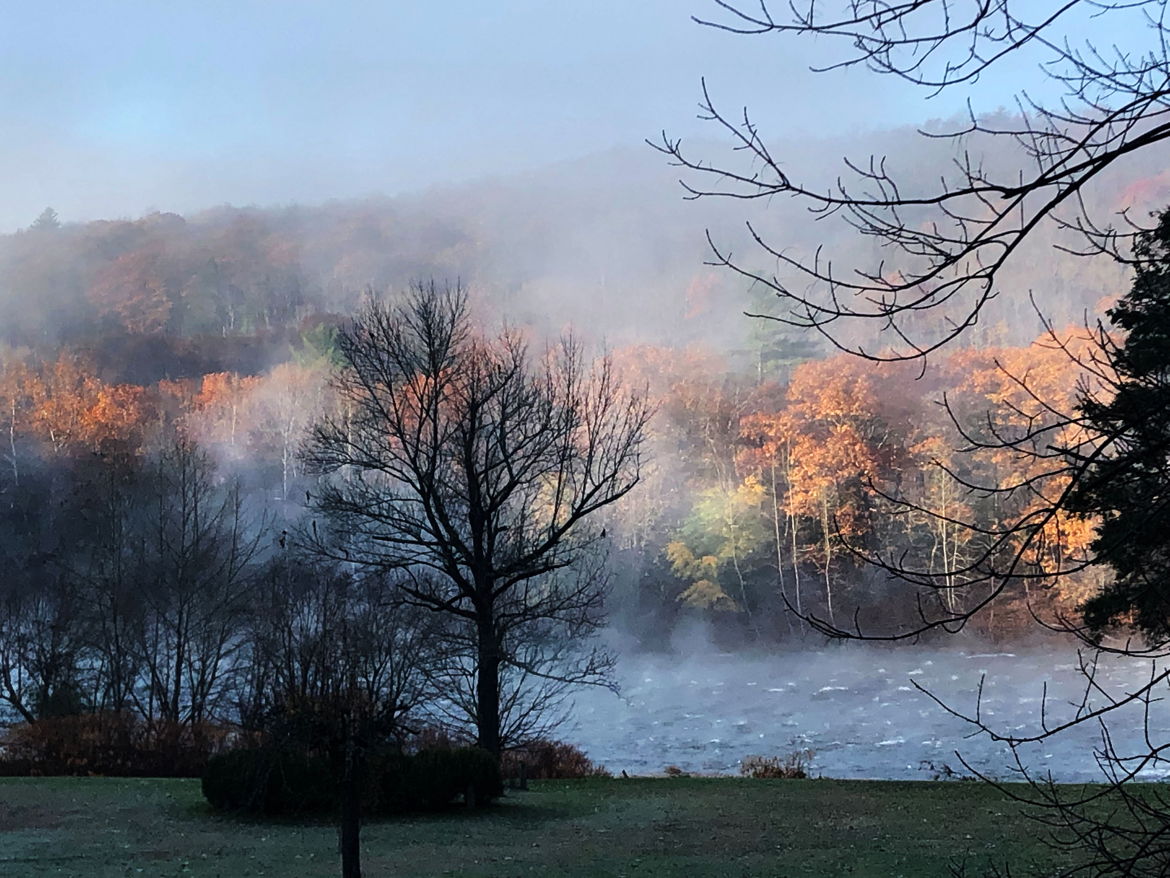 Entire cottage on Upper Delaware River Narrowsburg Cottages for Rent
