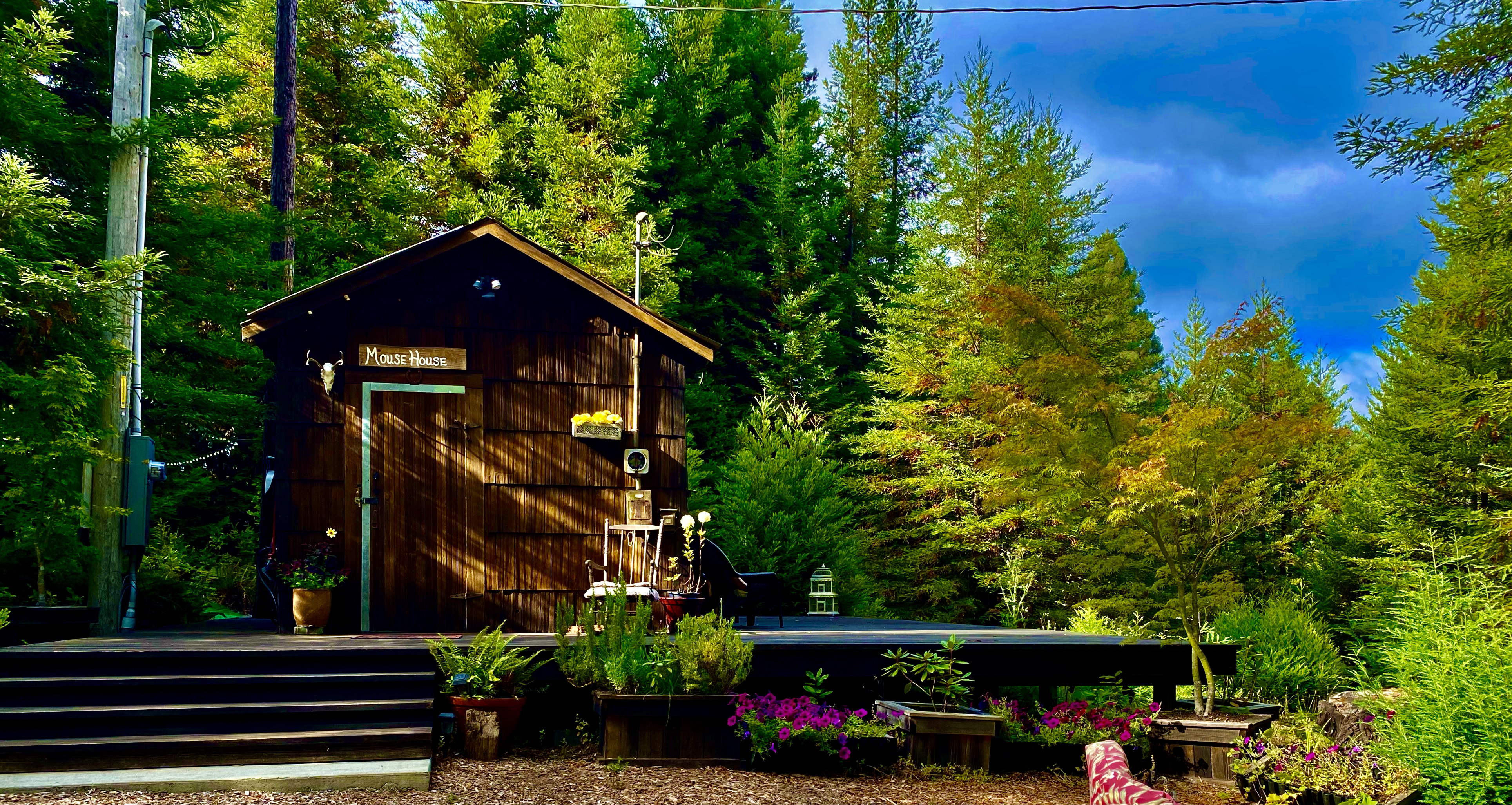 Charming 150 yr. Cabin in the Redwoods