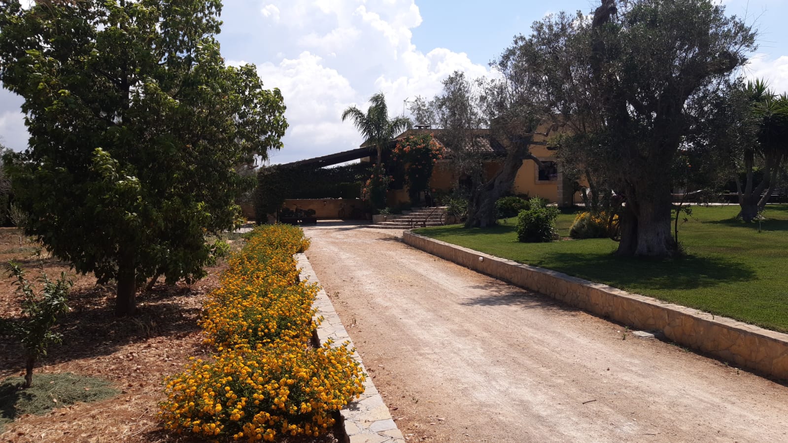 La Casa del Gelsomino