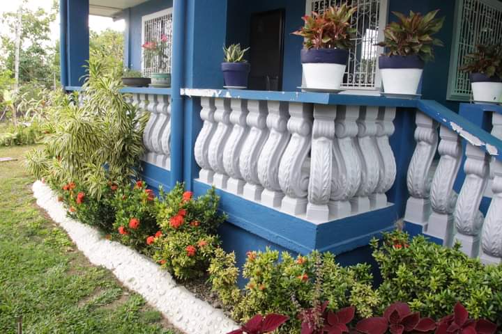 Mama Josie's Blue House 